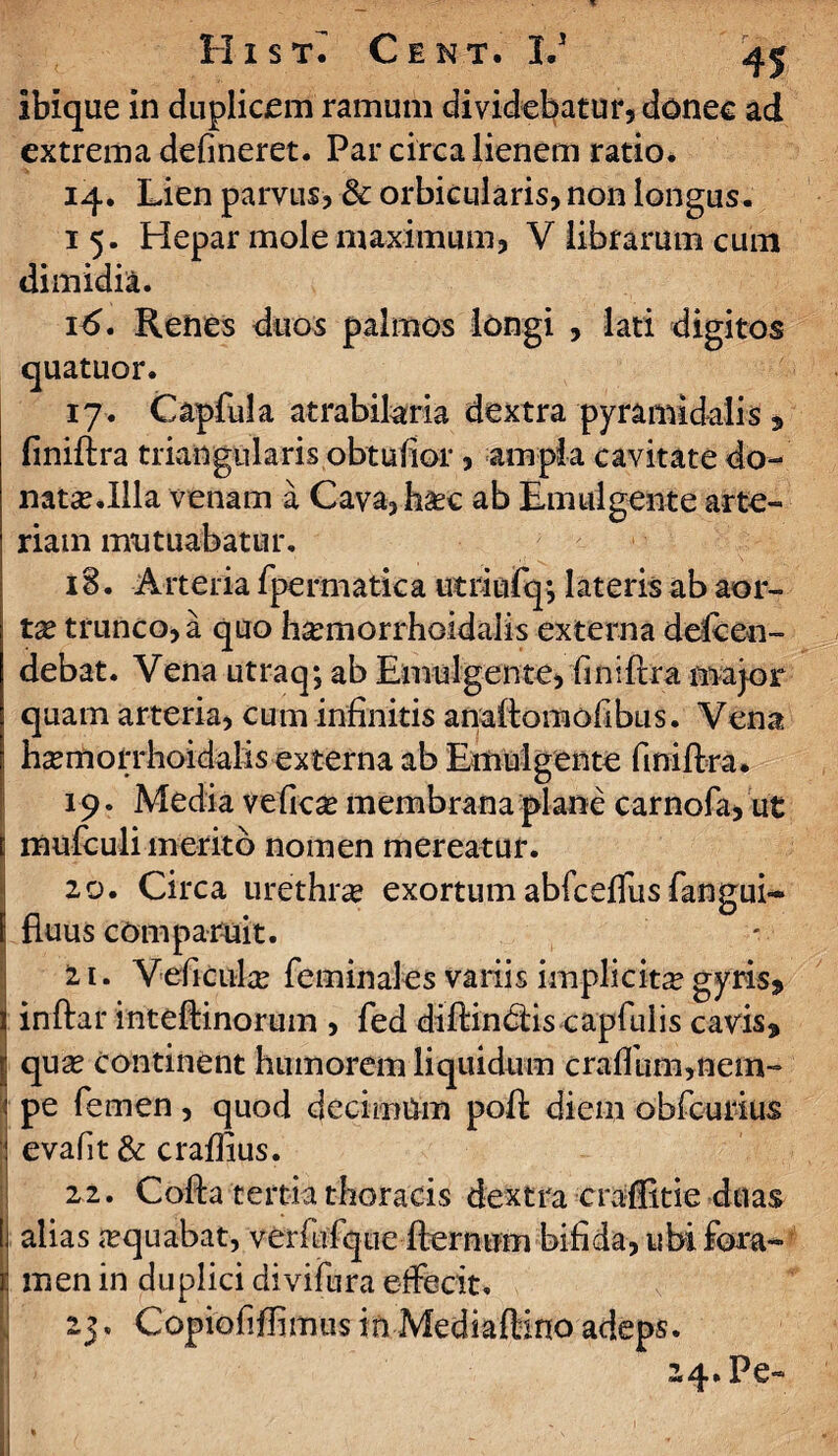 ibique in duplicem ramum dividebatur, donec ad extrema delineret. Par circa lienem ratio. 14. Lien parvus? & orbicularis, non longus. 1 5. Hepar mole maximum, V librarum cum dimidia. 16. Renes duos palmos longi , lati digitos quatuor. 17. Capfula atrabilaria dextra pyramidalis „ finiftra triangularis obtufior, ampla cavitate do- nata? .Illa venam a Cava, hasc ab Emulgente arte¬ riam mutuabatur. 15. Arteria fpermatica utdufq*, lateris ab aor¬ ta? trunco, a quo harmorrhoidalis externa defeen- debat. Vena utraq; ab Emulgente, (iniftra major quam arteria, cum infinitis anaftomofibus. Vena i ha?morrhoidalis externa ab Emulgente fmiftra. 19 • Media vefica? membrana plane carnofa, ut mufculi merito nomen mereatur. zo. Circa urethne exortumabfcefliisfangui- f fiuus comparuit. 21. VePiculx feminales variis implicita gyris* i inftar inteftinorum , fed diftindtis capfulis cavis* f quas continent humorem liquidum craffum,nem- : pe femen, quod decimum poft diem obfcurius evafit & craffius. 2-2. Cofta tertia thoracis dextra eraffitie duas I alias sequabat, verfuf que fternum bifida, ubi fora¬ re men in duplici divifura etfbcit. 25. Copiofiflimus in MediafHno adeps.