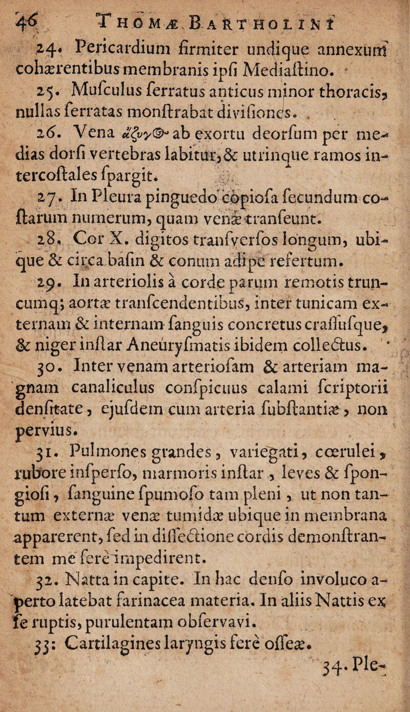 24. Pericardium firmiter undique annexurd cohaerentibus membranis ipfi Meciiaftino. 25. Mufculus ferratus anticus minor thoracisji nullas ferratas monftrabat diviiiones. , 16. Vena ab exortu deorfum per me-* dias dorfi vertebras labitur,&: utrinque ramos in- tercoftales fpargit. 27. In Pleura pinguedo copiofa fecundum co¬ llarum numerum, quam venae tranfeunt. 28. Cor X. digitos tranfverfos longum, ubi¬ que & circa bafin & conum adipe refertum. 29. I11 arteriolis a corde parum remotis trun- cumq; aorta? tranfcendentibus, inter tunicam ex¬ ternam & internam fanguis concretus craflufque* & niger indar Aneiiryfmatis ibidem colledus. * 30. Inter venam arteriofam & arteriam ma¬ gnam canaliculus confpicuus calami fcriptorii denfitate, ejufdem cum arteria fubfcantia*, non pervius. 31. Pulmones grandes, variegati, coerulei, rubore infperfo, marmoris inflar , leves & fpon- giofi, fanguine fpumofo tam pleni, ut non tan¬ tum externa? vena? tumida? ubique in membrana apparerent, fed in dilfe&ione cordis demonflran- tem me fere impedirent. 32. Natta in capite. In bac denfo involucoa- perto latebat farinacea materia. In aliis Nattis ex fe ruptis, purulentam obfervavi. 33: Cartilagines laryngis fere offea?. 34. Ple-