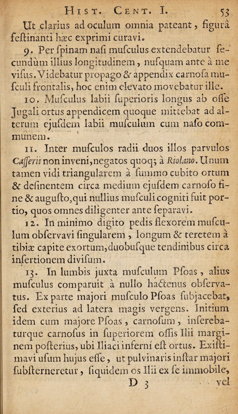 Ut clarius ad oculum omnia pateant , figura feftinanti hxc exprimi curavi» 9. Per fpinam nafi mufculus extendebatur fe¬ cundum illius longitudinem, nufquam ante a me vifus. Videbatur propago &T appendix carnofa imi- fculi frontalis, hoc enim elevato movebatur ille. 10. Mufculus labii fu penoris longus ab ofle Jugali ortus appendicem quoque mittebat ad al¬ terum ejufdem labii mufculiun cum nafo com- nuinem. 11. Inter lmifculos radii duos illos parvulos Cafferiinon inveni,negatos quoq; a Riolam. Unum tamen vidi triangularem a fummo cubito ortum 8c delinentem circa medium ejufdem carnofo fi¬ ne & auguflo^qui nullius inufculi cogniti fuit por¬ tio, quos omnes diligenter ante feparavi. 12. In minimo digito pedis flexorem mufcu- lum obfervavi Angularem , longum & teretem a tibia: capite exortum,duobufque tendinibus circa infertionem divifum. 13. In lumbis juxta mufculiun Pfoas , alius mufculus comparuit a nullo hadtenus obferva- tus. Exparte majori mufculoPfoas fubjacebat» fed exterius ad latera magis vergens. Initium idem cum majore Pfoas , carnofum , infercba- turque carnofus in fuperiorem offis Ilii margi¬ nem pofterius, ubi Iliaci inferni efl: ortus. Exifti- mavi ufum hujus effe, ut pulvinaris inftar majori fubfterneretur, fi quidem os Ilii ex fe immobile, D 3 ■ ■ vel