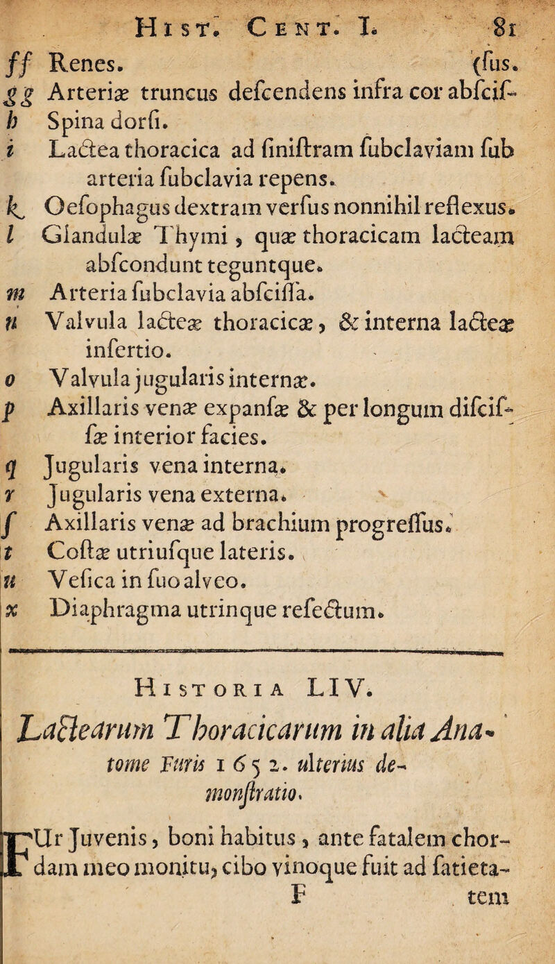 ff Renes. (fus. gg Arterias truncus defcendens infra cor abfcif- b Spina dorfi. i Ladea thoracica ad finiftram fubclaviam fub arteria fubclavia repens. kC Oefophagus dextram verfus nonnihil reflexus* l Glandulas Thymi 5 qua? thoracicam lacteam abfcondunt teguntque* Arteria fubclavia abfciffa. Valvula ladese thoracica, Bc interna ladeg infertio. Valvula jugularis interna?. Axillaris venae expanfe & per longum difcif- fx interior facies. Jugularis vena interna* Jugularis vena externa* Axillaris vens ad brachium progreffus* Colla? utriufque lateris. Vefica in fuoalveo. Diaphragma utrinque refedum* m n o f <1 r f t u X Historia LIV. LaBedrum Thoracicarum in alia Ana* tome Furii 1652. ulterius de- monfiratio. FUr Juvenis, boni habitus , ante fatalem chor¬ dam meo monitu, cibo vinoque fuit ad fatieta- F tem