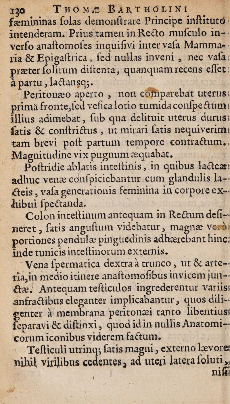 ijo T ho MjS Bartholini faemininas folas demonffiare Principe inftituto intenderam. Prius tamen in Refto mufculo in- verfo anaftomofes inquilm inter vafa Mamma¬ ria & Epigaftrica , fed nullas inveni , nec vafa t praeter folitum diftenta, quanquam recens effet: apartu,la&ansq*5. Peritonaeo aperto , non cofhparebat uterus prima fronte,fed velka lotio tumida confpedtumt illius adimebat, fub qua delituit uterus durus; fatis & conffii&us , ut mirari latis nequiverimi tam brevi poft partum tempore contra&um*, Magnitudine vix pugnum aequabat. Poftridie ablatis inteftinis, in quibus ladear adhuc venae confpiciebantur cum glandulis la¬ beis , vafa generationis feminina in corpore ex¬ hibui lpe£tanda. Colon intellinum antequam in Reftum deli¬ neret , fatis anguftum videbatur, magnae v®p®I portiones pendulae pinguedinis adhaerebant hinc; inde tunicis inteftinorum externis. Vena fpermatica dextra a trunco, ut &c arte¬ ria,In medio itinere anaftomofibus invicem jun- Antequam tefficulos ingrederentur variis anfra&ibus eleganter implicabantur, quos dili¬ genter a membrana peritonaei tanto libentius feparavi &: diffinxi, quod id in nullis Anatomi¬ corum iconibus viderem fadum. Tefficuli utrinq^ fatis magni, externo laevore: nihil virilibus cedentes % ad uteri latera ioluti, nili i