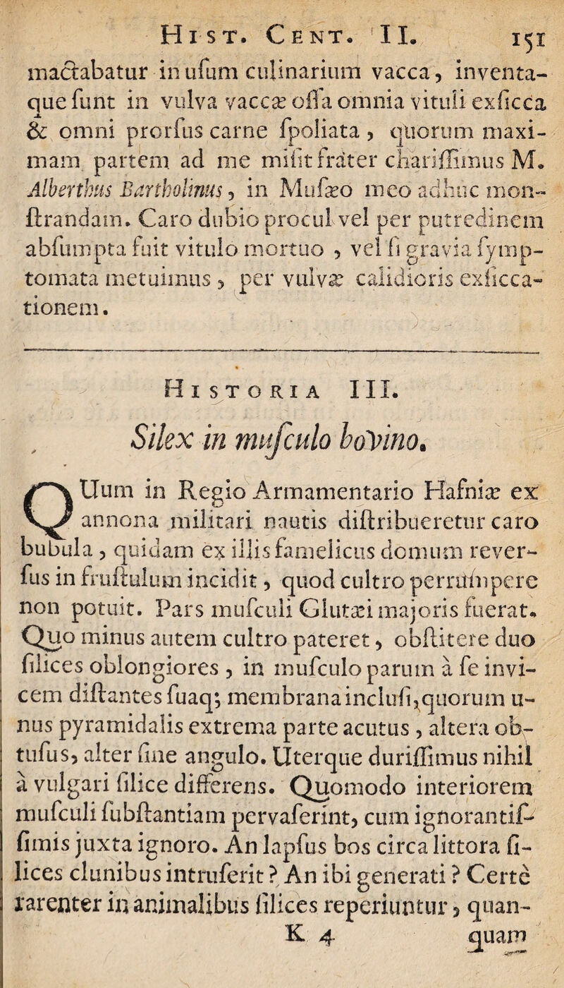 mactabatur inufum culinarium vacca, inventa¬ que funt in vulva vacca? ofia omnia vituli exficca & omni prorfus carne fpoliata , quorum maxi¬ mam partem ad me mifit frater chariffimus M. Aib er thus Bartholinus, in Mu beo meo adhuc mon- lirandam, Caro dubio procul vel per putredinem abfumpta fuit vitulo mortuo , vel fi gravia fymp- tomata metuimus , per vulva? calidioris exficca- tionem. Historia III. Silex in mtfculo boYino. QUum in Regio Armamentario Hafnite ex annona militari nautis diftribueretur caro bubula , quidam ex illis famelicus domum rever- fus in fmftulum incidit, quod cultro permfnpere non potuit. Pars mufeuii Giuta?i majoris fuerat. Quo minus autem cultro pateret, obflitere duo (ilices oblongiores , in mufculo parum a fe invi¬ cem diflantes fuaq; membrana inchifi^quorum ti¬ nus pyramidalis extrema parte acutus , altera ob- tufus, alter fine angulo. Uterque duridimus nihil a vulgari filice differens. Quomodo interiorem mufculi fubftantiam pervaferint, cum ignorantiC- fimis juxta ignoro. An lapfus bos circa littora fi¬ lices clunibus intruferit ? An ibi generati ? Certe rarenter in animalibus filices reperiuntur , quan- K 4 quam