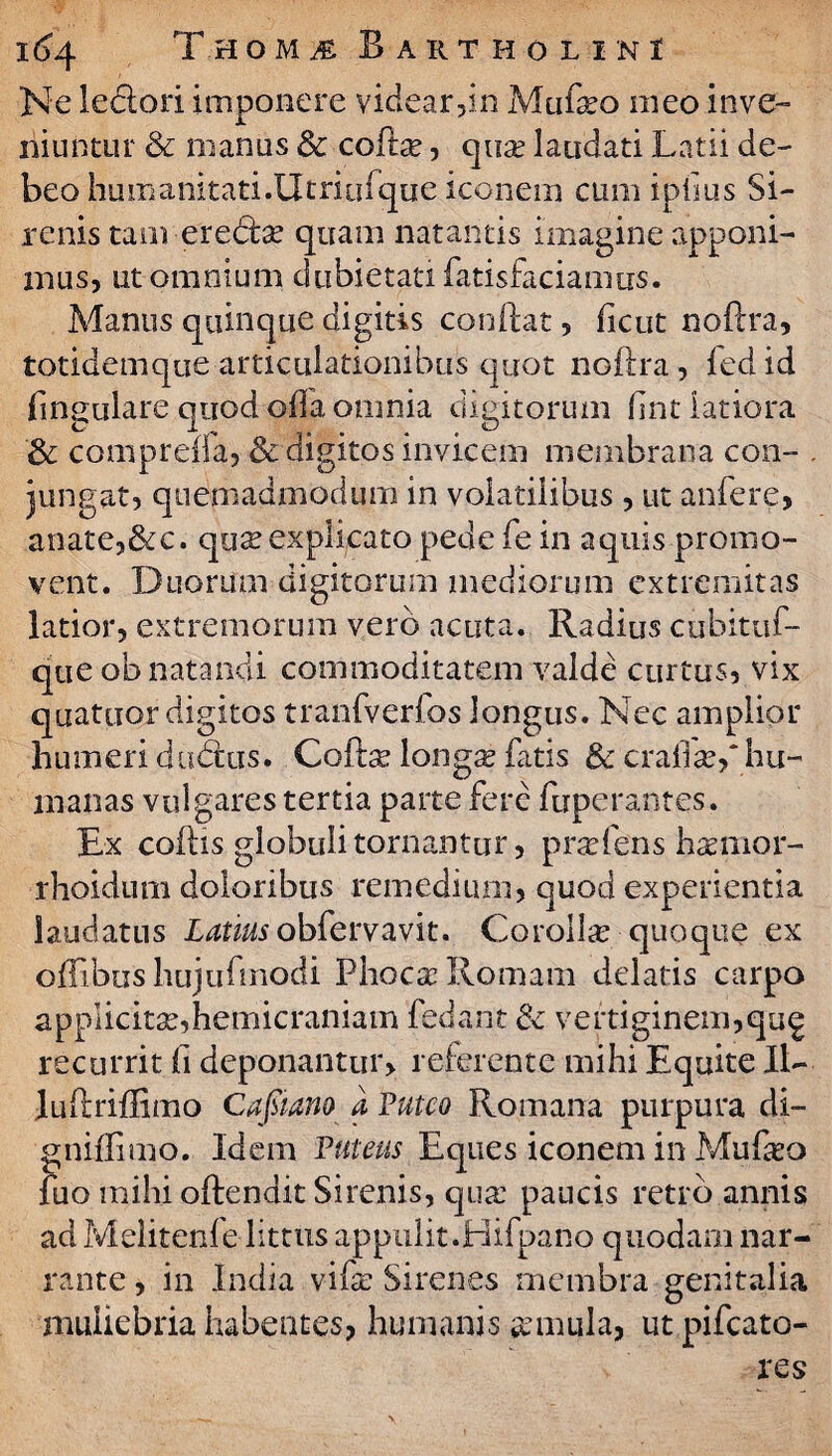 Ne ledori imponere videar,in Mufeo meo inve¬ niuntur & manus & cofta:, qua: laudati Latii de¬ beo humanitati.Utritifque iconem cum ipiius Si¬ renis tam erecta: quam natantis imagine apponi¬ mus, ut omnium dubietati fatisfaciamus. Manus quinque digitis condat, ficut noftra, totidemque articulationibus quot noftra , fed id lingulare quod olla omnia digitorum fint latiora '& compreifa, & digitos invicem membrana con¬ jungat, quemadmodum in volatilibus, ut anfere, anate,&c. quxexplicato pede fe in aquis promo¬ vent. Duorum digitorum mediorum extremitas latior, extremorum vero acuta. Radius cubituf- que ob natandi commoditatem valde curtus, vix quattior digitos tranfverios longus. Nec amplior humeri dudtus. Cofhe longa: fatis & cralise,'hu¬ manas vulgares tertia parte fere fuperantes. Ex coftis globuli tornantur, praftens haemor- rhoidum doloribus remedium, quod experientia laudatus i^ft^obfervavit. Corolla? quoque ex offibus hujufmodi Phoca: Romam delatis carpo applicita:,hemicraniam fedant & vertiginem,qu£ recurrit (i deponantur, referente mihi Equite II- luftriftimo Cafaano a Puteo Romana purpura di- gniftimo. Idem Puteus Eques iconem in Mufeo luo mihi oftendit Sirenis, qua: paucis retro annis ad Melitenfe littus appulit.Hifpano quodam nar¬ rante , in India vife Sirenes membra genitalia muliebria habentes, humanis pinula, ut pifcato- res