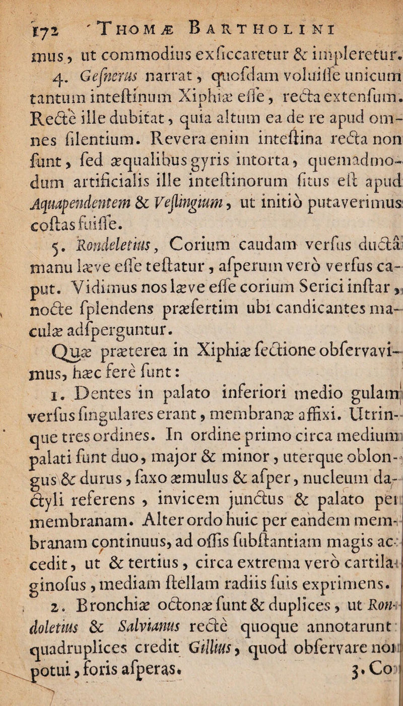 nuis, ut commodius ex necaretur & impleretur. 4. Gefnerus narrat, quofdam voluifle unicum tantum inteftinum Xiphiae ede, redaextenfum. Rede ille dubitat, quia altum ea de re apud om¬ nes fdentium. Revera enim inteflina reda non funt, fed aqualibus gyris intorta, quemadmo¬ dum artificialis ille inteftinorum fitus eft apud Aquapendentem & Veflingium, ut initio putaverimus coflas fuifle. 5. Rondeletius, Corium caudam verfus dticlaj manu laeve effe teftatur, afperuin vero verfus ca¬ put. Vidimus nos Ite ve effe corium Serici inftar, node fplendens praefertim ubi candicantes ma¬ cula? adfperguntur. Quae praeterea in Xiphia fedione obfervavi- mus, ha?c fere funt: 1. Dentes in palato inferiori medio gulam' verfus Angulares erant, membranas affixi. Utrim¬ que tres ordines. In ordine primo circa medium palati funt duo, major & minor, uterque oblon¬ gus & durus, faxo aemulus & afper, nucleum da¬ ctyli referens , invicem jundus & palato pei membranam. Alter ordo huic per eandem mem¬ branam continuus, ad offis fubftantiam magis ac cedit, ut & tertius, circa extrema vero cartila ginofus, mediam ftellam radiis fuis exprimens. > 2. Bronchia odona? funt & duplices, ut Ron-1 doletius &: Salvianus rede quoque annotarunt quadruplices credit Gillius > quod obfervare noi 1 potui, foris afperas. 3»Co