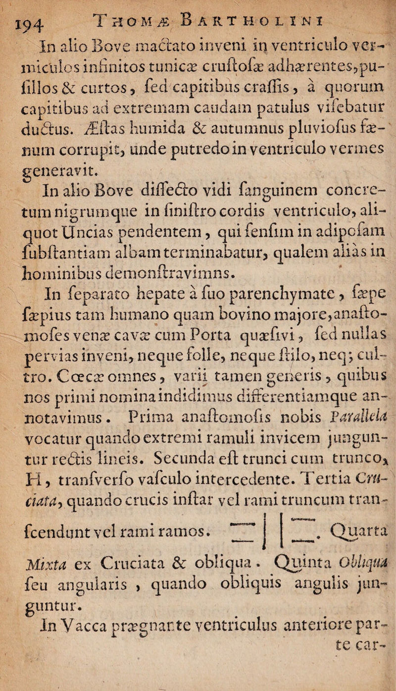 In alio Bove maciato inveni in ventriculo ver¬ miculos infinitos tunicas cruilofe adhasrentes,pu- fillos & curtos, fed capitibus craflis, a quorum capitibus ad extremam caudam patulus vifebatur cludius. fiEftas humida & autumnus pluviofus fe¬ num corrupit? unde putredo in ventriculo vermes generavit. In alio Bove diffedlo vidi fanguinem concre¬ tum nigrumqne in finillro cordis ventriculo? ali¬ quot Uncias pendentem, qui fenfim in adipcfam fubftantiam albam terminabatur? qualem alias in hominibus demoniiravimns. In feparato hepate a fuo parenchymate , fepe fepius tam humano quam bovino majore,anafto- mofes venas cavte cum Porta quasfivi, fed nullas pervias inveni? neque folle, neque ftilo, neq*, cul¬ tro. Cocca: omnes, varii tamen generis , quibus nos primi nominaindidimus difrerentiamque an¬ notavimus . Prima anaftomofis nobis Parallela vocatur quando extremi ramuli invicem jungun¬ tur redlis lineis. Secunda eft trunci cum trunco* FI, tranfverfo vafcuio intercedente. Tertia Cru- ciata, quando crucis inftar vel rami truncum tran- fcendunt vel rami ramos. Quarta Mixta ex Cruciata & obliqua. Quinta Obliqua feu angularis , quando obliquis angulis jun¬ guntur. In Vacca prasgnante ventriculus anteriore par¬ te car-