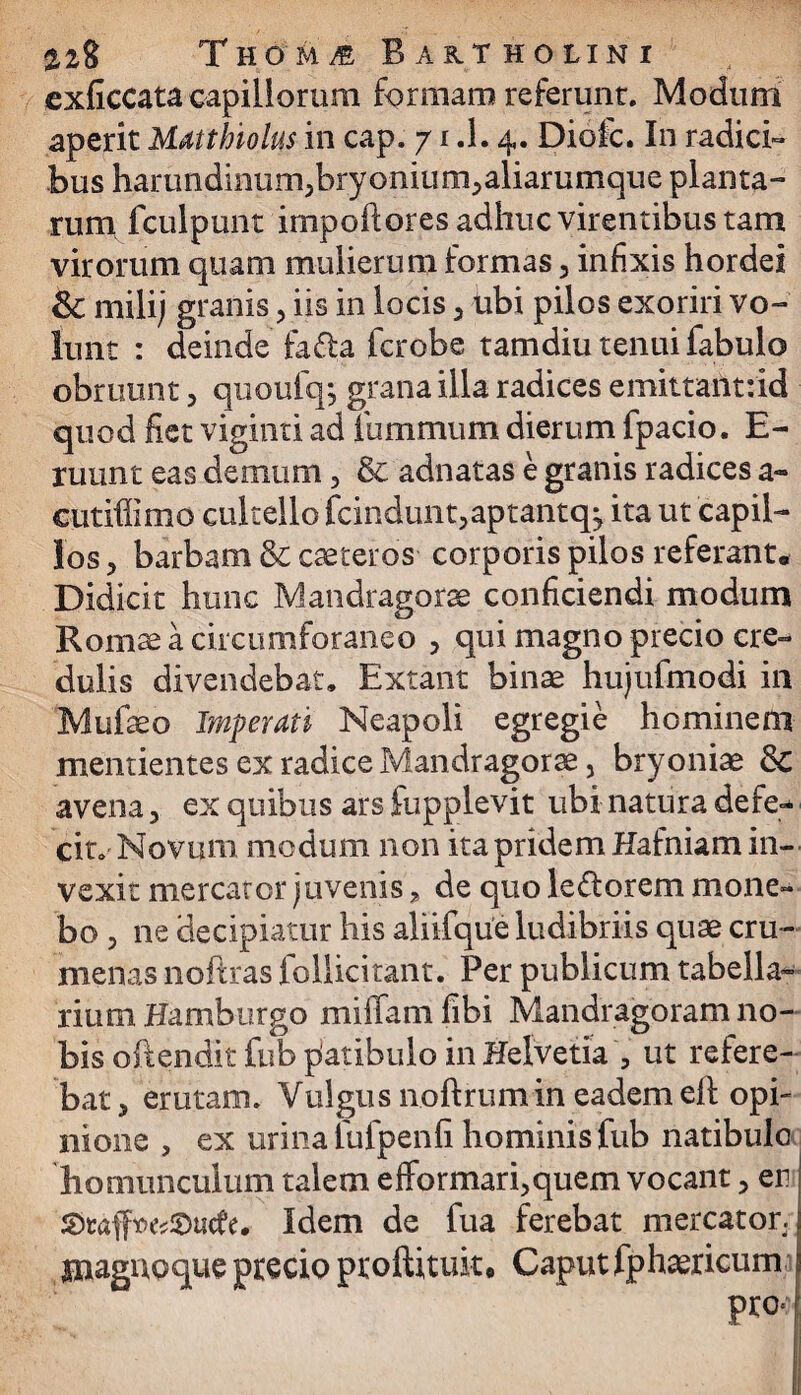 exficcata capillorum formam referunt. Modum aperit Matthiolus in cap. 71.1.4. Dioic. In radici¬ bus harandmum,bryonium,aliarumque planta¬ rum fculpunt impoftores adhuc virentibus tam virorum quam mulierum formas, infixis hordei & milij granis , iis in locis , ubi pilos exoriri vo¬ lunt : deinde fafta fcrobe tamdiu tenui fabulo obruunt , quoulqj grana illa radices emittantdd quod fiet viginti ad fummum dierum fpacio. E- ruunt eas demum , & adnatas e granis radices a- cutiffimo cultello fcindunt,aptantq^ ita ut capil¬ los, barbam & caeteros corporis pilos referant. Didicit hunc Mandragorae conficiendi modum Romae a circumforaneo , qui magno precio cre¬ dulis divendebat. Extant binae hujufmodi in Mufaeo Imperati Neapoli egregie hominem mentientes ex radice Mandragorae, bryoniae & avena, ex quibus ars fupplevit ubi natura defe-* cito Novum modum non ita pridem Hafniam in¬ vexit mercator juvenis, de quo le&orem mone¬ bo , ne decipiatur his aliifque ludibriis quae cru¬ menas noftras iollicitant. Per publicum tabella¬ rium Hamburgo miffam fibi Mandragoram no¬ bis oftendit fub patibulo in Helvetia , ut refere¬ bat, erutam. Vulgus noftrumin eadem eft opi¬ nione , ex urina iufpenfi hominis fub natibulc homunculum talem efformari,quem vocant, en S)taft>e?©ucfe. Idem de fua ferebat mercator, jnagupque precio proftituk* Caput fphaericum pro