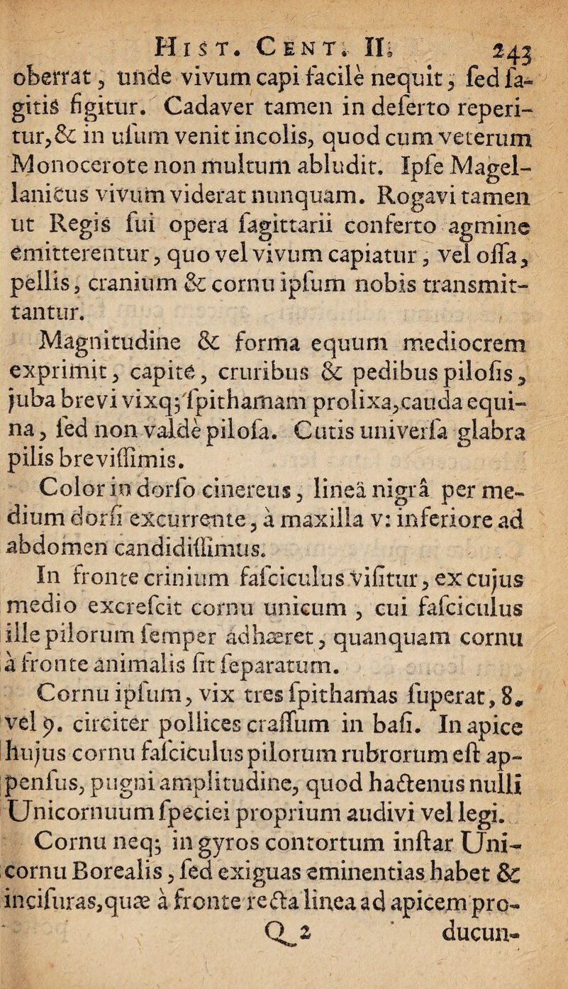 oberrat, unde vivum capi facile nequit, fed ia» gitis figitur. Cadaver tamen in deferto reperi- tur,&£ in ufum venit incolis, quod cum veterum Monocerote non multum abludit. Ipfe Magel- laniCus vivum viderat nunquam. Rogavi tamen ut Regis fui opera iagittarii conferto agmine emitterentur, quo vel vivum capiatur, vel offa, pellis 3 cranium & cornu ipfum nobis transmit¬ tantur. Magnitudine & forma equum mediocrem exprimit, capite, cruribus & pedibuspilofis, juba brevi vixq$ fpithamam prolixa,cauda equi- na, fed non valde pilofa. Cutis univerfa glabra pilis brevifiimis. Color in dorfo cinereus, linea nigra per me¬ dium dorfi excurrente, a maxilla v: inferiore ad abdomen candidilllmus. In fronte crinium fafciculus .Vifitur, ex cujus medio excrefcit cornu unicum , cui fafciculus ille pilorum iemper adhaeret, quanquam cornu a fronte animalis fit feparatum. Cornu ipfum, vix tres fpithamas fuperat, 8, velp. circiter pollices crailum in bafi. In apice hujus cornu fafciculus pilorum rubrorum eft ap- penius, pugni amplitudine, quod ha&enus nulli Unicornuum fpeciei proprium audivi vel legi. Cornu neq; in gyros contortum inftar Uni- cornu Borealis, fed exiguas eminentias habet & incifuras,qute a fronte reda linea ad apicem pro- Q^z ducun-