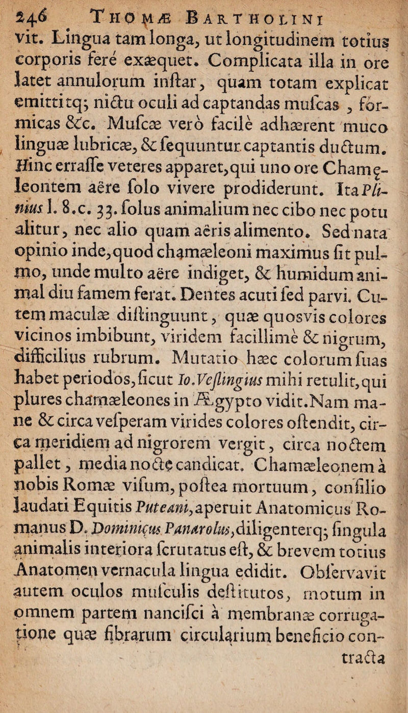 vit. Lingua tam longa, ut longitudinem totius corporis fere exaequet. Complicata illa in ore latet annulomm inftar , quam totam explicat emitti tq; nidu oculi ad captandas mulcas , for¬ micas &c. Mufcae vero facile adhaerent muco linguae lubricae, & lequuntur.captantis durium. Hinc erraffe veteres apparet,qui uno ore Chame- Jeontem aere folo vivere prodiderunt. Ita Pli¬ nius 1. 8.c. 33. folus animalium nec cibo nec potu alitur, nec alio quam aeris alimento. Sed nata opinio inde,quod chamaeleoni maximus fit pul¬ mo, unde multo aere indiget, & humidum ani¬ mal diu famem ferat. Dentes acuti fed parvi. Cu¬ tem maculae diflinguunt, quae quosvis colores vicinos imbibunt, viridem facillime & nigrum, difficilius rubrum. Mutatio haec colorum fuas habet periodos,ficut Io.Veflmgius mihi retulit,qui plures chamaeleones in ALgypto vidit.Nam ma¬ ne &: circa vefperam virides colores oftcndit, cir¬ ca meridiem ad nigrorem vergit, circa nodem pallet, media no d$ candicat. Chamaeleonem a nobis Romae vifum, poftea mortuum, confilio laudari Equitis Putcmi,aperuit Anatomicus Ro¬ manus D. Dominicus P47//tn>/i#,diligenterq* fingtila animalis interiora fcrutatus eft, & brevem totius Anatomen vernacula lingua edidit. Obfervavit autem oculos mulculis deftitutos, motum in omnem partem nancifci a membranae corroga¬ tione quas fibrarum circularium beneficio con¬ traria