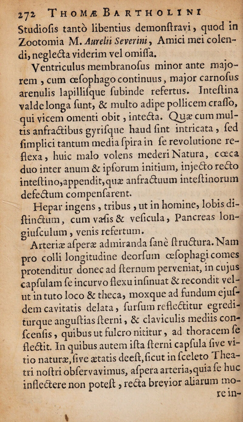 Studiofis tanto libentius demonflravi, quod in Zootomia M. Aurelii Severim, Amici mei colen¬ di, negleda viderim vel omiffa. Ventriculus membranofus minor ante majo¬ rem , cum cefophago continuus, major carnofus arenulis lapillifque fubinde refertus, Inteftina valde longa funt, 6c multo adipe pollicem craflo, qui vicem omenti obit, inteda. Qu^ cum mul¬ tis anfradibus gyrilque haud fint intricata , fed (implici tantum media fpira in fe revolutione re¬ flexa, huic malo volens mederi Natura, caeca duo inter anum & ipforum initium, injedo redo inteftino,appendit,qux anfraduum inteftinorum defedum compenfarent. Hepar ingens , tribus , ut in homine, lobis di- ftindum, cum vafls & veficula, Pancreas lon- giufculum, venis refertum. Arteriae afperae admiranda fane Arudura.Nam pro colli longitudine deorfum celophagi comes protenditur donec ad fternum perveniat, in cujus capfulam fe incurvo flexu inflnuat & recondit vel- ut in tuto loco & theca, moxque ad fundum ejuf- dem cavitatis delata, furfum refleditur egredi¬ tur que anguftias flerni, & claviculis mediis con- fcenfls, quibus ut fulcro nititur, ad thoracem fe fledit. In quibus autem ifta flerni capfula five vi¬ tio natura?, live itatis deefl,ficut in fceleto Thea¬ tri noftriobfervavimus, afpera arteria,quia fe huc infledere non poteft , reda brevior aliarum mo¬ re in-