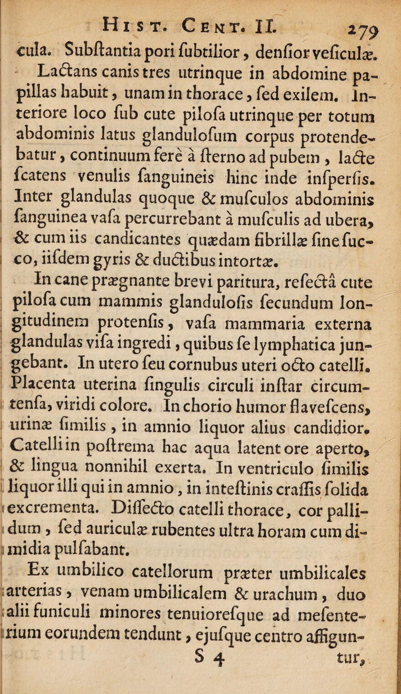 cula. Subflantia pori fubtilior, denfior veficul^. Ladans canis tres utrinque in abdomine pa¬ pillas habuit, unam in thorace 3 fed exilem. In¬ teriore loco fub cute pilofa utrinque per totum abdominis latus giandulofum corpus protende¬ batur , continuum fere a flerno ad pubem , lade ! fcatens venulis fanguineis hinc inde infperfis. Inter glandulas quoque & mufculos abdominis fanguinea vafa percurrebant a mufculis ad ubera, Sc cum iis candicantes quaedam fibrillae finefuc- ! co, iifdem gyris &dudibus intorta. . In cane praegnante brevi paritura, refeda cute pilofa cum mammis glandulofis fecundum lon¬ gitudinem protenfis, vafa mammaria externa glandulas vifa ingredi, quibus fe lymphatica jun¬ gebant. In utero feu cornubus uteri odio catelli. Placenta uterina fingulis circuli inftar circum- tenfa, viridi colore. In chorio humor flavefcens, urinae fimilis , in amnio liquor alius candidior. Catelli in poftrema hac aqua latent ore aperto, & lingua nonnihil exerta. In ventriculo fimilis liquor illi qui in amnio, in inteftinis craffis folida excrementa. Difledo catelli thorace, cor palli¬ dum , ied auricula rubentes ultra horam cum di¬ midia pulfabant. Ex umbilico catellorum pneter umbilicales arterias 5 venam umbilicalem & urachum, duo alii funiculi minores tenuiorefque ad mefente- rium eorundem tendunt > ejufque centro affigun- S 4 tur,