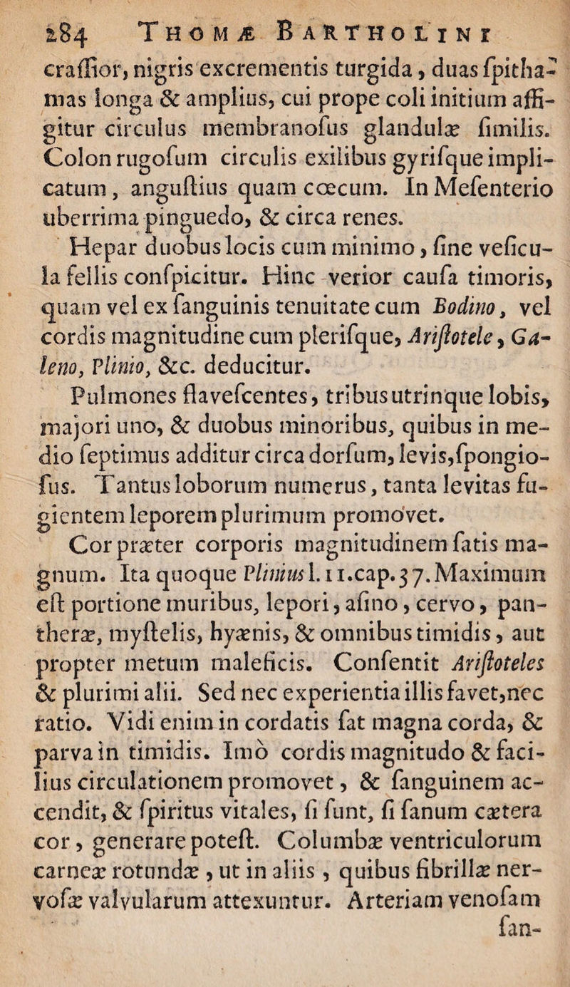 craflior, nigris excrementis turgida, duas fpitha- mas longa & amplius, cui prope coli initium affi¬ gitur circulus membranofus glandula: fimilis. Colon rugofum circulis exilibus gyrifque impli¬ catum , anguftius quam coccum. In Mefenterio uberrima pinguedo, & circa renes. Hepar duobus locis cum minimo, fine veficu- ia fellis confpicitur. Hinc verior caufa timoris, quam vel ex fanguinis tenuitate cum Bodino, vel cordis magnitudine cum plerifque, Ariftotele> Ga¬ leno, Plinio, &c. deducitur. Pulmones flavefcentes, tribus utrinque lobis, majori uno, & duobus minoribus, quibus in me¬ dio feptimus additur circa dorfum, levis,fpongio- fus. Tantus loborum numerus, tanta levitas fu¬ gientem leporem plurimum promovet. Cor praeter corporis magnitudinem fatis ma¬ gnum. Ita quoque Plinius 1.1 i.cap.3 7. Maximum e fi: portione muribus, lepori, afino, cervo, pan- therse, myftelis, hyaenis, & omnibus timidis, aut propter metum maleficis. Confentit Ariftoteles 6c plurimi alii. Sed nec experientia illis favet,nec ratio. Vidi enim in cordatis fat magna corda, Sc parva in timidis. Imo cordis magnitudo & faci¬ lius circulationem promovet, & fanguinem ac¬ cendit, & fpiritus vitales, fi funt, fi fanum extera cor, generare potefi:. Columbae ventriculorum carnea: rotunda: , ut in aliis, quibus fibrillae ner- vofx valvularum attexuntur. Arteriam venofam fan-