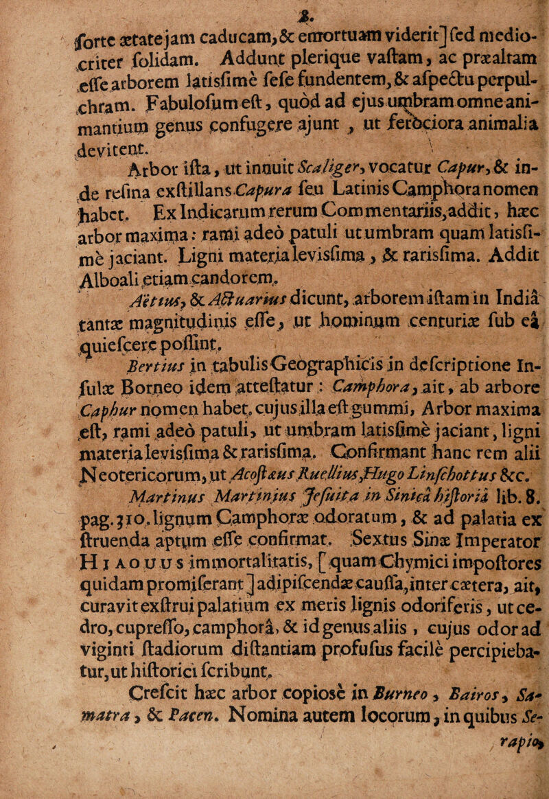 J. forte aetate jam caducam,& emortuam viderit] fcd medio¬ criter folidam. Addunt plerique vaftam, ac praealtam effe arborem latisfime fefe fundentem, & afpedtu perpul¬ chram. JFabulofum eft, quod ad ejus umbram omne ani¬ mantium genus confugere ajunt , ut ferbciora animalia devitent. . _ ' ' . Arbor ifta, ut innuit Sca/tger, vocatur Capur, & in¬ de retina exftillans Gz/wr* feu Latinis Camphora nomen Jiabct. Ex Indicarum rerum Commentariis, addit, hxc arbor maxima • rami adeo patuli ut umbram quam latisfi- me jaciant. Ligni materia levisfimi!. , & rarisfima. Addit Alboali .etiam candorem,. AetutSi&LAdtuarHisdicunt,arboremiftamin Indii tanta; magnitudinis effe , ut hominum centuriae fub ea quiefcerc pofllnt. Bertius jn tabuIisGeographicis in dcfcriptione In¬ fulae Borneo idem atteftatur: Camphora ,zit y ab arbore Capbur nomen habet, cujusillaeftgummi, Arbor maxima ,eft, rami adeo patuli, ut umbram latisfime jaciant, ligni materialevisfima 8c rarisfim^,. Confirmant hanc rem alii N eotericorum, ut AcpfiausRueMiitsyHugoLinfchottus tkc. Martinus Martinitts Jefuita i» Stnica. hjjlorii lib. 8. pag.?io.lignum Gamphorx odoratum, & ad palatia ex ftruenda aptum effe confirmat. Sextus Sins Imperator Hiaouus immortalitatis, [quamChvmiciimpoftorcs quidam promiferant] adipifcenda: caufla,inter extera, ait, curavit exftrui palatium ex meris lignis odoriferis, ut ce¬ dro, cupreffo, camphora, & id genus aliis , cujus odor ad viglnti ftadiorum difhntiaro profufus facile percipieba¬ tur, ut hiftorict feribunt, Crefcit haec arbor copiose in Burneo , Bairo;, Sa* matra, & Bacen. Nomina autem locorum, in quibus Se- rapio»