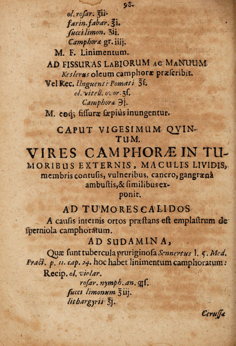 $3.- ol. VojdY. JIl- far in.fabar. fi. fuccilimon. 5ii. Camphora gr.iiij. M. F. Linimentum» AD FISSURAS LaBIORUM ag-Ma-NI^UM- Keslerus oleum camphorae praeteribit, ♦ Unguenti Vomat i 0/. 'witelL ovor: 3C Camphord 9js . c©4> fiffuras faepius inungentur. . CAPUT VIG E SI M U M QJIN- TUM. VIRES CAMPHORCIN TU- moribus EXTERNIS, MACULIS LIVIDIS* membris contufis, vulneribus, cancro,gangrani ambuftis,& fimilibus ex* ponit, AD TUMORESCALIDOS A caufis internis ortos praftans eft emplaftrum de %erniola camphonttum. ADSUDAMINA, Quae funt tubercula pruriginofa Scnncnus 1, 5. Mcd. Praei, p. a. cap. 24, hoc habet linimentum eamphoratum: Recip .ol. vir lar. rojar. nympb. an. gjf.. fucet limonum fiij. litbargyrii Ej- , 4 1 (