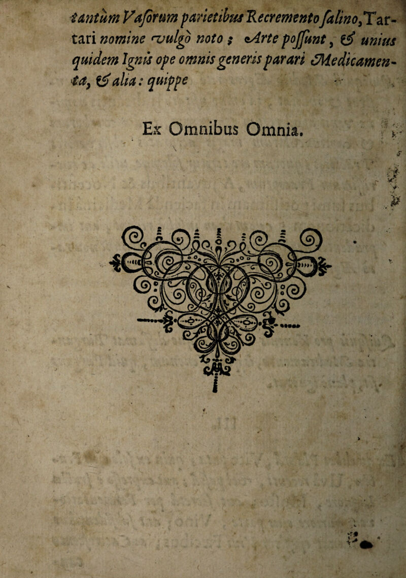 i&ntum Vaforum parietibus Recremento falino,T^v- tari nomine ntulgb noto ; nArte pojfunt, unius quidem Ignis ope omnis generis parari CMedkamen - ta, & alta: quippe 1 »• M*M