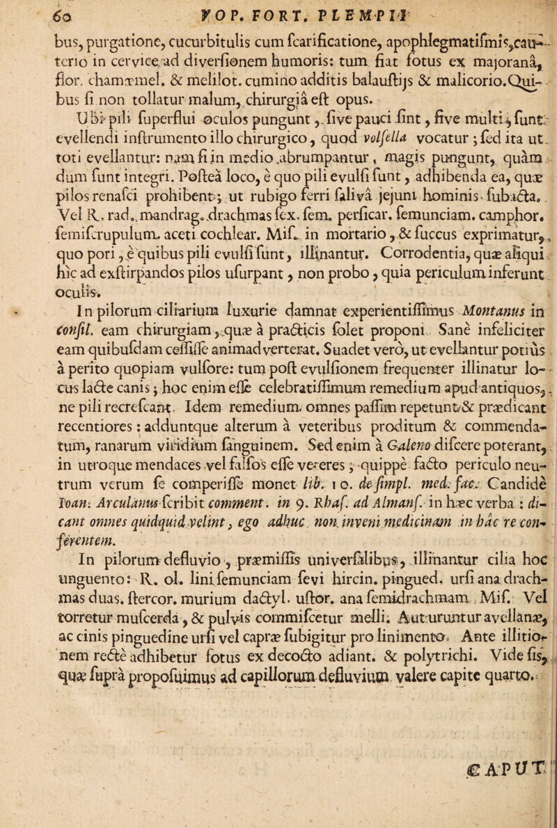 bus, purgatione, cucurbitulis cum fcarificatione, apophIegmatifmis,eaul ¬ terio in cerviee/ad diverfionem humoris: tum fiat fotus ex majorana, fior. chamcrmel. & melilot. cumino additis balauftijs & malicorio.Qui¬ bus fi non tollatur malum, chirurgia eft opus. Ubi>pili fuperflui oculos pungunt ,,fivepauci fint, five multi^funt: evellendi inftrumento illo chirurgico, quod voljelU vocatur ; fed ita ut. toti evellantur: nam fi in medio .abrumpantur t magis pungunt, quam dum funt integri. Poftea loco, e quo pili evulfi funt, adhibenda ea, qux pilosrenafei prohibent; ut rubigo ferri faliva jejuni hominis* fubada. Vel R. rad..mandrag» drachmas fex. fem, perficar. femunciam. camphor# femifcrupulum. aceti cochlear. Mifi in mortario, & fuccus exprimatur*, quo pori, e quibus pili evulfi funt, illinantur. Corrodentia, quae aliqui hic ad exftirpandos pilos ufurpant, non probo, quia periculum inferunt oculis. In pilorum ciliarium luxurie damnat experientifiiimis Montanus in confil. eam chirurgiam ,„qu^ a pradticis folet proponi Sane infeliciter eam quibufilam ceflifle animadverterat. Suadet vero, ut evellantur potius a perito quopiam vuifore: tum pofl evulfionem frequenter illinatur lo¬ cus ia&e canis; hoc enim elle celebratifiimum remedium apud antiquos*. ne pili recrefcant Idem remedium, omnes paffim repetunt& praedicant recentiores: adduntque alterum a veteribus proditum & commenda¬ tum, ranarum viridium {anguinem. Sed enim a Galeno difcere poterant* in utroque mendaces vel filios efle vegeres; quippe fa&o periculo neu¬ trum verum fe comperifle monet lib. i o. defimpi med: fac, Candide Toani Arcularius (cribit comment. in 9. Rhaf. ad Altnanf in Rec verba : di¬ cant omnes quidquid velint, ego adhuc non. inveni medi tinam in hac recon- ferentem. In pilorum defluvio , praemiffis univtrfilibps, illinantur cilia hoc unguento: R. ol. lini femunciam fevi hircin. pingued, urfi ana drach¬ mas duas, ftercor. murium da&yl. uftor. ana femidrachmam Mif. Vel torretur mufeerda, & pulvis commifcetur melli. Auturuntur avellana, ac cinis pinguedine urfi vel capra? fubigitur pro linimento. Ante illitior nem rede adhibetur fotus exdeco&o adiant. & polytrichi. Vide fis* «Jiwfup ra propofuimus ad capillorum defluvium valere capite quarto. .C A P V T