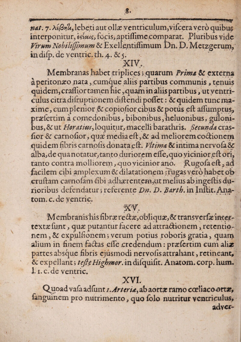 mt. y. Ae$j$, lebeti aut ollae ve n triculum, vifcera vero quibus Interponitur, e sicas, focis, aptiflinic comparat. Pluribus vide Virum Nobiliffimum & Exdlentiffimum Bn. D. Metzgerum/ In difo.de vefttric.-th. 4. &£$. - 'XiV. Membranas habet -triplices equarum Prima & externa a peritonaeo nata, cumque aliis partibus communistenuis quidem, craffior tamen hic, quam in aliis partibus /ut yentri- culus citra difruptionem diftendi poffet: & quidem tunc ma- xime, cum plenior 6e copiofior cibus & potus eft aftumpeus* prasfertim a comedonibus /bibonibus,heluonibus, guloni¬ bus, & ut Horatim, loquitur,macelli barathris. Secunda cras- fwr & carnqfior, quae media eft, & ad meliorem codkmem quidem fibris caraoiis donata eft. Vlttma 5z intima nervofa Sc alba,de qua notatur,tanto duriorem effe,quo yiciniorqft ori, tanto contra molliorem, quo vicinior ano. Rugofa eft ? ad facilem cibi amplexum &z dilatationem migas vero habet ob cruftam carnofam libi adherentem,ut melius ab ingeftis du¬ rioribus defendatur j referente Dn, D. Barth. in Inftit. Ana- tom. c. de yentric. * 4. '.-a Merribranishis fibra? redas, dbjUqua?,& transverfe inter¬ texta? funt , qua: putantur facere ad attradionem, retentio¬ nem , & expulfionem j verum potius roboris gratia, quarq alium in finem fadas effe credendum: pr^fertim cum alias partes absque fibris ejusmodi nervofis attrahant, retineant, & expellant> tefteHighmor. indifquifit. Anatom. corp. hum. I i.c.de ventric. XVI. Quoad vafa adfunt i.ArterU^ ab aorta? ramo codiacoort#, fanguinem pro nutrimento * quo folo nutritur ventriculus, adver-