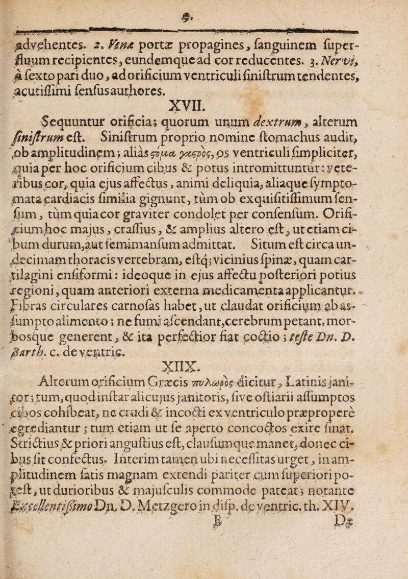 advehentes. 2. port# propagines, fanguinem fuper- Unum recipientes, eundemque ad cor reducentes. 3, Nervi, m fexto pari duo> ad orificium ventriculi finiftrum tendentes, acuriffimi fenfusauthores. XVII. i 1' Sequuntur orificia; quorum unum dextrum, alterum finiftrum eft. Siniftrum proprio nomine ftopiachus audit, pb amplitudinem; alias ventriculi fimplicitcr, tquia per hoc orificium cibus & potus intromittuntur: vete¬ ribus cor, quia ejus affc&us, animi deliquia, aliaquc fympto- piata cardiacis fimilia gignunt, tum ob exquifitiffimum fcn- Ium, tum quia cor graviter condolet per confenfum, Orifi- jfriumjhoc majus, craflius, & amplius altero eft ? ut etiam ci- .bum durum,aut femimanfum admittat. Situm eft circa 1111- Jecimam thoracis vertebram, eftq; vicinius Ipinx, quam car¬ tilagini enfiformi: ideoque in ejus aftedupofteripri potius xegioni, quam anteriori externa medicamenta applicantur, fibras circulares carnofes habet,ut claudat orificium &b as¬ sumpto alimento; nc fumi ofcendant,cerebrum petant, mor- ;bosque generent, dc ita perfodior fiat fo%io \tejte Bn. D> $arth* c. de ventris. XIIX. Alterum orificium Grxcis 7wAwfo? dicitur, Latinis jani- |pr; £um,quqdinftar alicujus janitoris, five oftiarii afTumptos jc&os cohibeat, ne crudi & incodi ex ventriculo praepropere ' egrediantur 5 tum etiam ut fe aperto concoftos exire finat. Seri dius^r priori anguftius eft, clau fumque manet, donec ci¬ bus fit confedus° Ihterim tamen ubi neceffitas urget, in am¬ plitudinem fatis magnam extendi pariter eum fuperioripo- &eft> ut durioribus majufculis commode pateat; notante §^ulkntipmo Dn, D. Mprzger .0 in Jilp. de ypntric. th. XIV» B’ D§