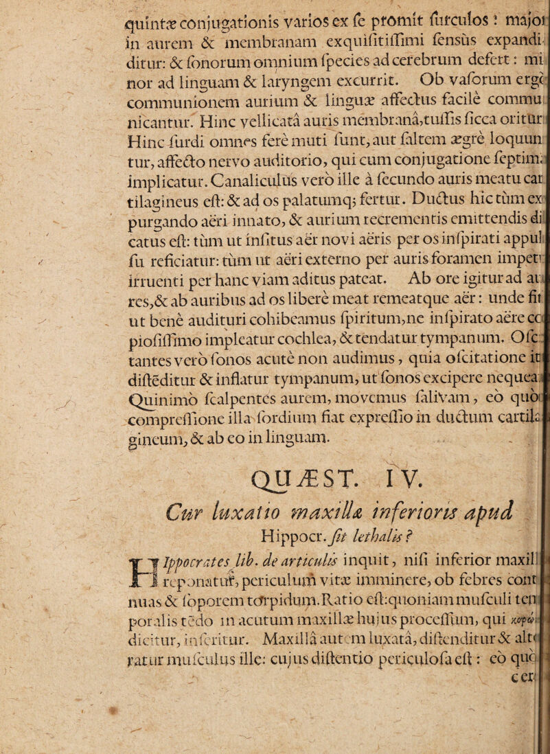 quintae conjugationis varios ex fe ptomit furculos: majoi in aurem & membranam exquifitifiimi fensus expandi ditur: & (bnorum omnium fpecies ad cerebrum defert: mi nor ad linguam & laryngem excurrit. Ob vaforum ergc communionem aurium & lingua.’ affectus facile commu. nicantur.' Hinc vellicata auris membrana,tuffis ficca oritur: Hinc furdl omnes fere muti fune, aut (altem argre loquun tur, affecto nervo auditorio, qui cum conjugatione feptim; implicatur. Canaliculus vero ille a fecundo auris meatu car tilagineus eft:& ad os palatumq; fertur. Ductus hic tum ex purgando aeri innato, & aurium recrementis emittendis di catus eft: tum ut inlitus aer novi aeris per os infpirati appul fu reficiatur: tum ut aeri externo per auris foramen impeti irruenti per hanc viam aditus pateat. Ab ore igitur ad at res,& ab auribus ad os libere meat remeatque aer: unde fit ut bene audituri cohibeamus fpiritum,ne infpirato aere cc piofiiTimo impleatur cochlea, & tendatur tympanum. Ofc tantes vero fonos acute non audimus, quia ofcitatione ic difteditur & inflatur tympanum, ut fonos excipere nequea Quinimo fcalpentes aurem, movemus faliVam, eo quoi comprcflionc ilia (ordium fiat expreflioin ductum cartila gineum,& ab eo in linguam. f QUJEST. IV. Cur luxatio maxilla inferioris apud Hippocr.fit lethalis ? lppocratesjib. de articulis inquit, nifi inferior maxil! j. repomtitf, periculum vitx imminere, ob febres cont nuas & leporem torpidum.Ratio dbquoniam mufeiili teli poralis tedo m acutum maxilla? hqjus procefltxm, qui dicitur, ini erit ur. Maxilla autem luxata, diffcnditur 3c alte ratur mulculus ille: cujus diftentio pcriculofaeft: eo quo cer: