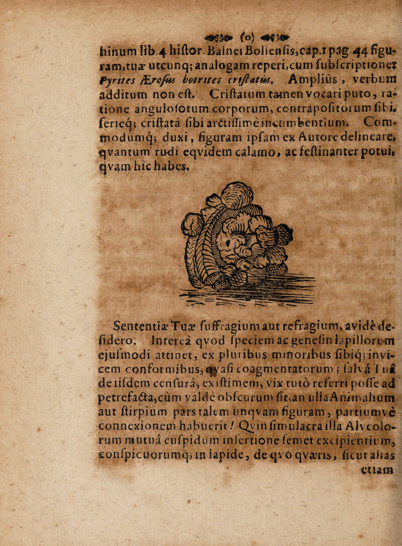 (a) fimum lib.4hiftor.Balnei BoliaifisjCap.ipag 44 figit? ram,tuar utcunq; analogam reperi,cuni fubfcriptione* Pyrites fiurofks botrttes crtjhitM. Amplius > verbum additum noneft, Criftatum tamen vocari puto, ra¬ tione angulofotum corporum, contrapofitorum libi* ferieq; criftara fibi ar£tiffime incumbentium* Com« tnpdumq; duxi, figuram ipfam ex Autore delineare* fjvantum rudi eqvidetn calamo* acfeftinanterpotui* cjv&ixi hic habes. Sententia Tua? fuffragium aut refragium, avide de- fidero* Interea qvod fpeciem acgenefinlapilloriun ejulmodi attinet, ex pluribus minoribus fibicpinvi- eem conformibus, q^afi coagmentatorum ; lalva Tui deiifdem cenfura, exiftimem, vix tuto referri pofife ad petrefa<3a,ciim valde oMcurum fit^an uliaAnimahum aut ftirpium pars talem unqvam figuram, partiimive connexionem habuerit / Qvinfiniulacra illa Alveolo¬ rum mutua cufpidum infertipne fcmet excipientium., confpicuoriimqun lapide, deqvoqva?m, ficutaiias etiam