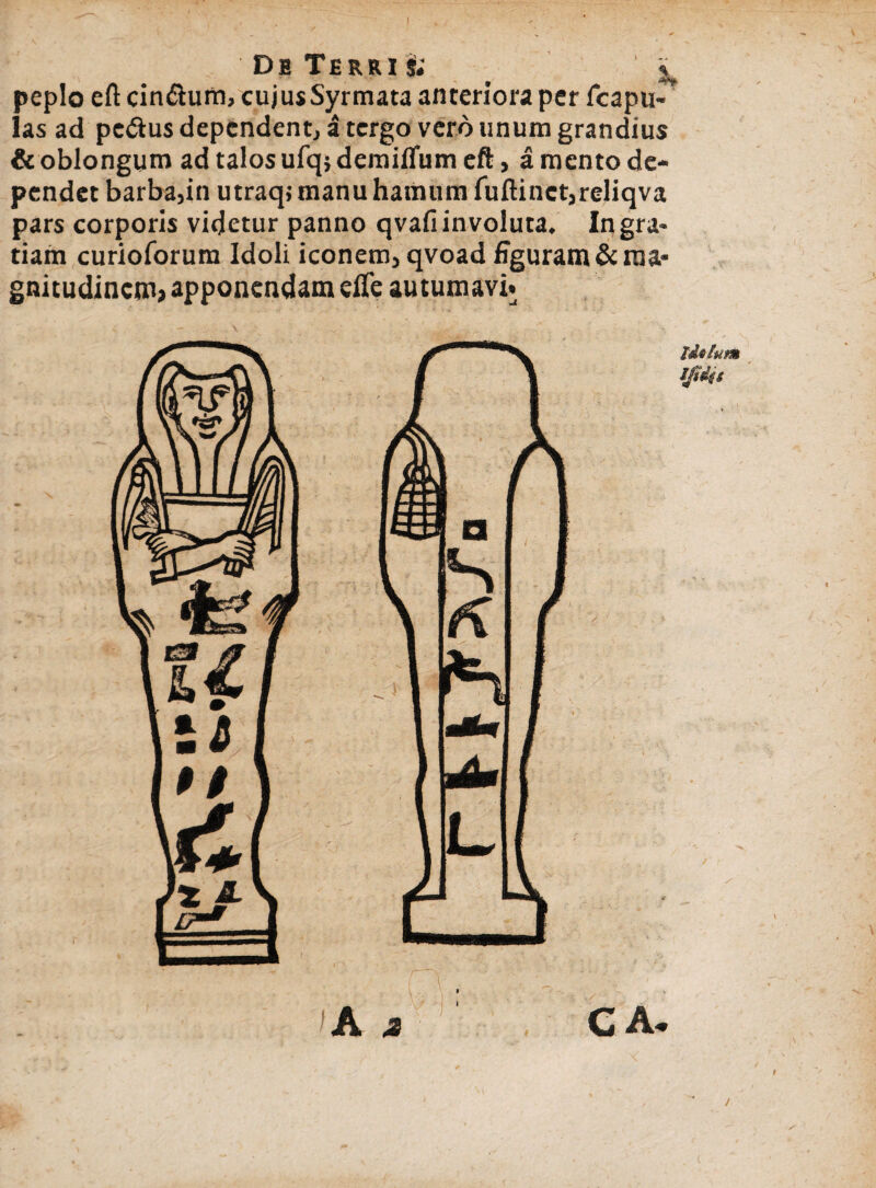 peplo eft cin&um, cujus Syrmata anteriora per fcapu- las ad pe&us dependent, a tergo vero unum grandius & oblongum ad talos ufq; demillum eft, a mento de¬ pendet barba,in utraq; manu hamum fuftinct,reliqva pars corporis videtur panno qvafiinvoluta. Ingra¬ tiam curioforum Idoli iconem, qvoad figuram & ma¬ gnitudinem, apponendam dTe autumavi» A* C A- / i