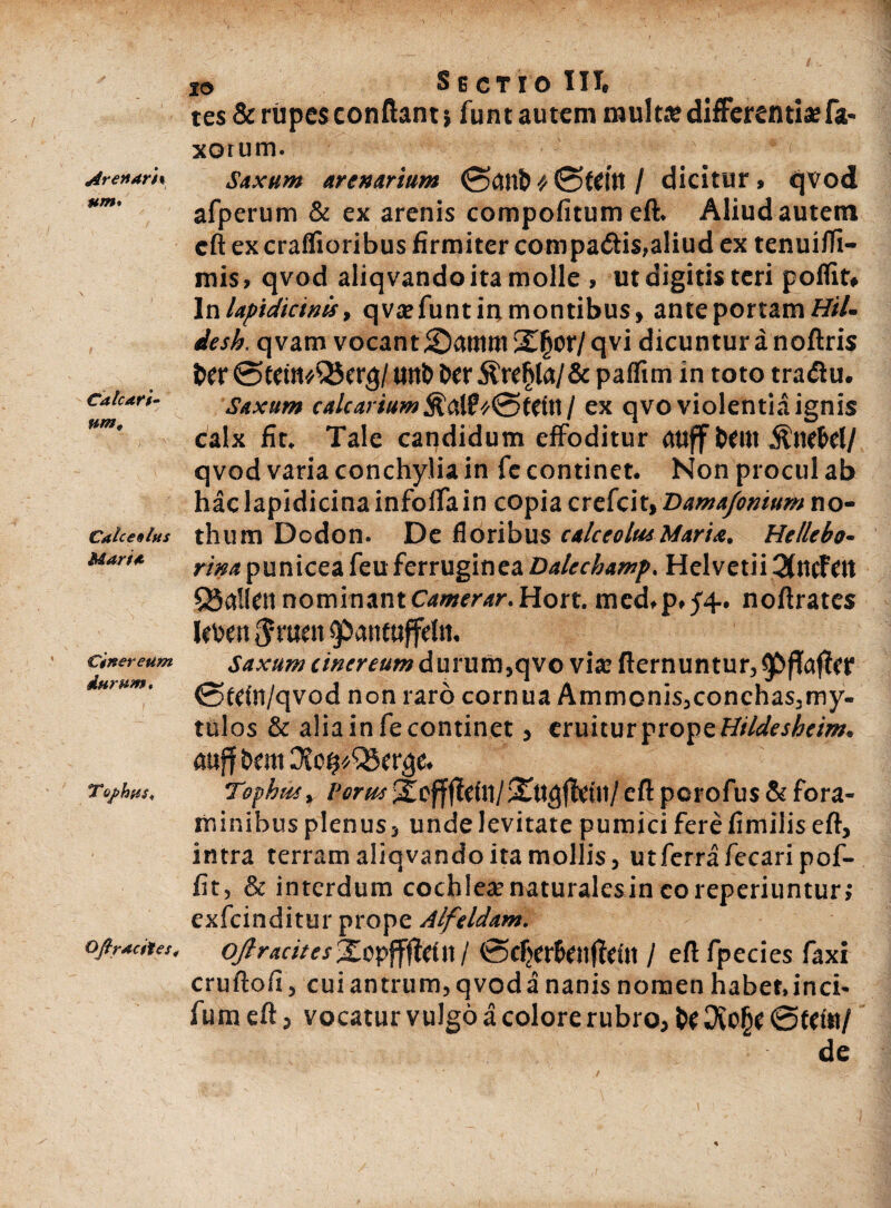 ArenarU um# Calcari¬ um, Cale e 9 lus Maria Cinereum durum. T o/hus. Oftracftes. io Sectio III. tes & rupes confiant} funt autem multa» differenti* fa- xorum. Saxum arenarium 0<JnD*0teitt/ dicitur» qvod afperum & ex arenis compofitumeft. Aliud autem eft ex craffioribus firmiter compadis,aliud ex tenuiffi- mis, qvod aliqvando ita molle » ut digitis teri poflit* In lapidicinis, q vsefunt in montibus, ante portam Hil. desh, qvam vocant2kwwiS£ljor/qvi dicuntur a noftris Der 0tetn#Qkrg/ uttD Der paffim in toto tradu. Saxum calcarium<0tefn / ex qvo violentia ignis calx fit. Tale candidum effoditur atiff Deilt &nefcel/ qvod varia conchylia in fc continet. Non procul ab haclapidicinainfoffain copia crefcit, Dama/onium no¬ thum Dodon. De floribus calceo Itu Maria, Hellebo- rim punicea feu ferruginea DaUchamp. Helvetii 2(ttcFett 58allen nominant Camerar. Hort. med.p.yq.. nofirates JeDett $ruen ^atituffeln. Saxum c/»<rra««dururn,qvo vi* fternuntur,9&fTaj?er 0tehl/qvod non raro cornua Ammonis,conchas,my- tulos & alia in fe continet, eruitur prope Hildeshcim. auff Dent Oio^/QJer^e. Tophus, Portu ;£offjteftl/Sdlgffeill/ eft perofus & fora- minibus plenus , unde levitate pumici ferefimilis efi, intra terram aliqvando ita mollis , utferrafecaripof- fit, & interdum cochle*naturalesincoreperiuntur; exfeinditur prope Alfeldam. OjlracitesXopffffeut / 0eljer&eitffefl1 / eft fpecies faxi cruftofi, cuiantrum,qvoda nanis nomen habet,inci- fum eft, vocatur vulgo a colore rubro, De 3to§e 0tein/ de