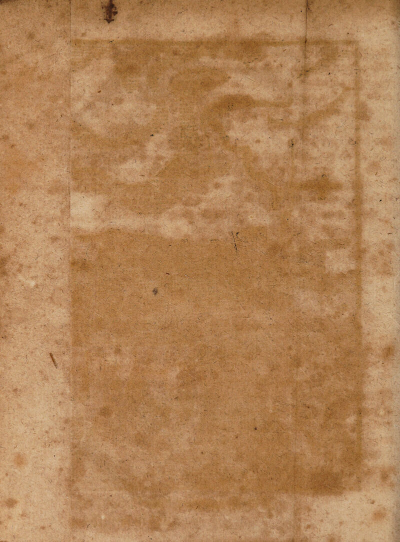 m «V.V^v' ;.y ,\f 1 >’■ i \ - m /:■ r