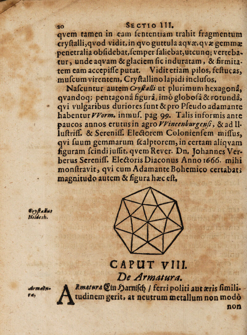 Se ctio III. qvem tamen in eam fententiam trahit fragmentum cryftalli,qvod vidit,in qvoguttulaaqva?,qva» gemmas penetralia oblidebat,femper faliebat,utcunq; verteba- tura unde aqvam&glaciem fic induratam, & firmita¬ tem eam acccpifle putat. Viditetiam pilos, feftucas, mufcum virentem, Cryftallino lapidi indufos, Nafcuntur autem CryJtaUi ut plurimum hexagona, qvandoq; pentagona figura, imo globofa & rotunda, qvi vulgaribus duriores funt& pro Pfeudo adamante habentur VVorm. inrauf. pag 99. Talis informis ante paucos annos erutusin agroVFtnccnburgenfi■> &ad 11« luftrilT. & SerenilT. Ele&orem Colonienfem milfus, qvi fuum gemmarum fcalptorem,in certam aliqvam figuram fcindijufiit, qvemRever. Dn, JohannesVer- berus SerenilT. Ele&orisDiaconus Anno 1666. mihi monftravit, qvi cum AdamanteBohcmico cerubat, magnitudo autem & figura hjec eft. Htldesh, CAPUT VIIJ. De Armatura. RmutarA 0» ^jarntfcfj / ferri politi aut arris fimili- tudinem gerit, at neutrum metallum non modo non