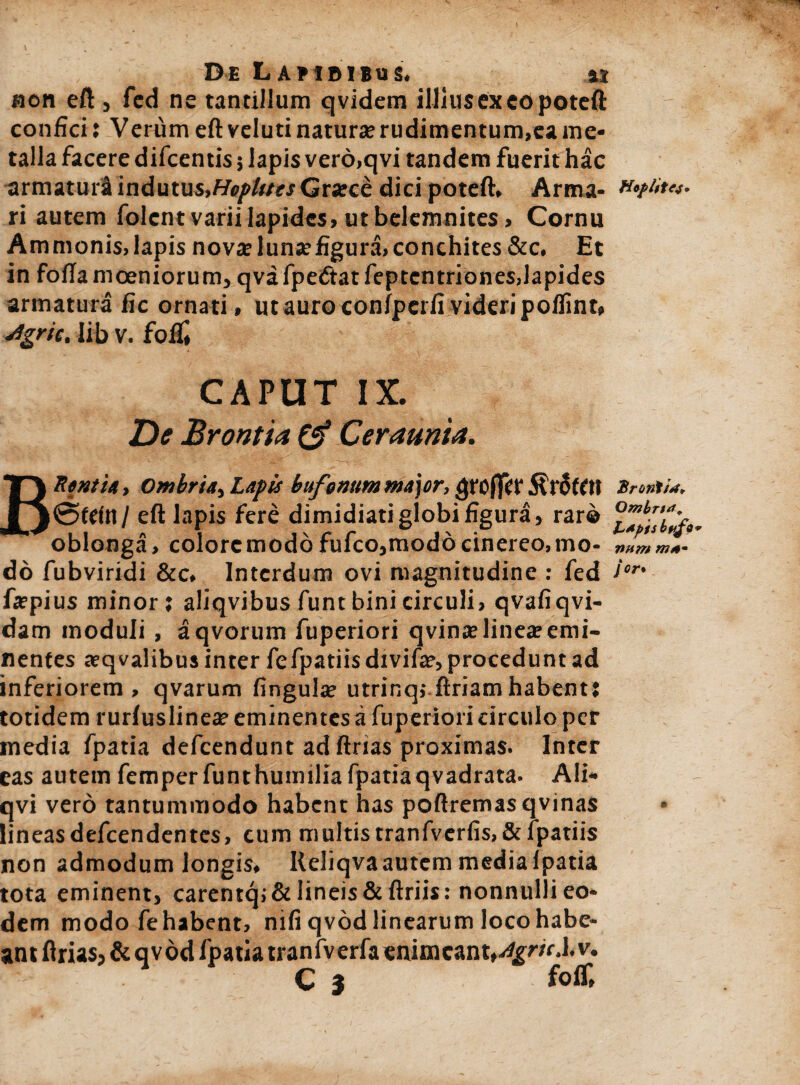 De Lambibus. ai Hon eft j fed ne tantillum qvidem illius ex eo poteft confici: Verum eft velutinatur»rudimentum.eame¬ talla facere difcentis j lapis verd.qvi tandem fuerit hac armaturi indutu$>/*//f/r.fGra?ce dici poteft, Arma- ri autem folcnt varii Iapides» ut belemnites» Cornu Ammonis,lapis nova?luna?figura»conchites &c. Et in fofta moeniorum, qvafpedtatfeptentrionesjapides armatura fic ornati» ut auro confperfi videri polfint* sigrie. Iib v. fofif, CAPUT IX. De Brontta Ceraunia. Bitenti», Ombria, Lapis bufenum major, Qtofftt RtoUtl Srontiat* @tein / eft lapis fere dimidiati globi figura, rar® oblonga, colore modo fufco»mod6 cinereo, mo- nnm do fubviridi &c, Interdum ovi magnitudine : fed ior' fepius minor; aliqvibus funt bini circuli > qvafiqvi- dam moduli , aqvorum fuperiori qvinse linea? emi¬ nentes aeqvalibus inter fefpatiis divifa?, procedunt ad inferiorem, qvarum fingula? utrinqj.ftriamhabent: totidem rurluslinese eminentes a fuperiori circulo per inedia fpatia defeendunt ad ftnas proximas. Inter eas autem femper funthumilia fpatia qvadrata. Ali* qvi vero tantummodo habent has poftremasqvinas lineasdefeendentes, cum multistranfverfis,& fpatiis non admodum longis, Reliqva autem media fpatia tota eminent j carentqj& lineis & ftriis: nonnulli eo* dem modo fehabent, nifi qvod linearum loco habe¬ ant flrias? & qvod fpatia tranfverfa enimeantt Jgric.lv.
