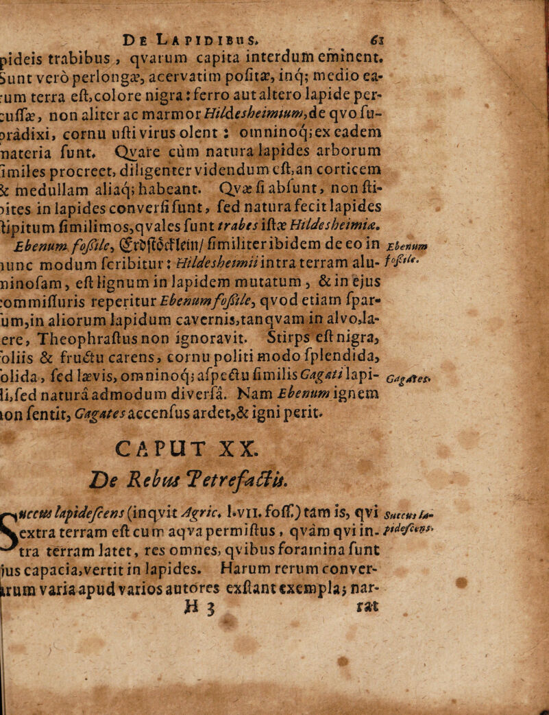 nideis trabibus , qvarum capita interduih eminent. Sunt vero perlonga.’, acervatim polita?, inq; medio ea- , rum terra elhcolore nigra: ferro aut altero lapide per- :ulTje, non aliter ac marmor Hildesheimtum,&z qvo fu- Dradixi, cornu ufti virus olent: omninoq;ex eadem nateria funt, Qvaie cum natura lapides arborum imiles procreet, diligenter videndum eft,an corticem k medullam aliaq; habeant. Qyxfiablunt, nonfti- dtes in lapides converli funt, fed natura fecit lapides lipitum fimilimos,qvales funt trabes iffre HtldeshemU. Ebemm fofiile-, Qrr&fiocflein/ fimilrteribidem de eo in Ebenum uinc modum fcribitur: :ttildesbemUiiitraterram alu- MiU- ninofam, elt lignum in lapidem mutatum, & in ejus :ommiHuris reperitur Ebemimfojsile, qvod etiam fpar- 'um,in aliorum lapidum cavernis,tanqvam inalvoda- ere, Theophraftusnon ignoravit. Stirps eft nigra, 'oliis & fru<5tu carens, cornu politi modo fplendida, olida, fed laevis, omninoq; afpefru fimilis Gagati lapi- elatet. li,fed natura admodum diverfa. Nam Ebenumignem ion fentit, Gagates accenfus ardet,& igni perit. CAPUT XX. De Rebus 7etrefa£$is. Succmhftdefcens (inqvit Agrie♦ l.vii. fof£) tam Is, qvi Succus Ia* extra terram eftcurr aqvapermiftus, qvamqviin .?*<&«*» tra terram latet, res omnes, qvibus foramina funt ius capacia,vertit in lapides. Harum rerum ronver- luura varia apud varios antores exfiant exempla j nar-