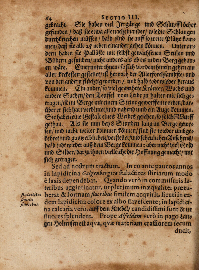 <4 - Sectio III. ©ic £<*&en utel ttn& ©djlttpffl&fcer gefun&ett / fte ectna atlc uacFjetnan&er/ tt>tc bic ©tljkngeti twdjfriedjen mdflcn/^al& fittb fteau{Ffotueite95!<i$efout* menjMfi fie alk if nefett etnan&er |prfieti ffouten. Unfer att# fccrn §ale« fie «tif felbffjetuacfjfenen ©euien ti«& SSiiDern Qtfmbmj nfcJjC anixr3 alg o& e$ ijj 5cn QJcrggc^au^ en tu5re. Sitterunter t{jnen/ foftc^ uorfrem §ineiti gelari aut «lier ferfefteit gejtakf/tfl Imtacij E>er 2tUerfor$fanil?fle / u»& bett &cn anbent fWUfjttg tumteit / «ttl» §a\b eo&ftute&er (jeraug fommen. ©n an&cr/fc btc! getuetljef e ^ufer/SSucijja «nt> anbere ©adjen/bett Seuffel bout irtfer 5« |alten nitt ftcljge* trcujrn/tfitm QSeqje miteinem ©te ftic getuorffen tuorfcen/lxav» ■ft&er er ftrjjj fjarf ber&!ufet/un& na|en& uint> etn 2(uge fommett. ©i< fjafce» etor ©efialf etneg ^effreg gefr§en/fo folcfjf^Burff getfimt. 2Clt? fte ntm 6ep8 ©fun^en Imtgim QSerge$t\w fett/ uni) ttidjf turifer Jfommett flnbftr tuie&er unifyje* ffefiref/mtS» gantj rrt>(i£^cn/ucrf?rUef/unl)ftferulicfjen3(nfr§eti^/ §a!& fobttuteber aug bent Q5erge fotnmeti :a&ernfc§eutel @o!& unb © i\Uxl frarp inurit birllrtf^t Irte J^offnun^ gema^f/ ntff ftcf? gefra^nt. Sed ad noftrum trapirai, In eo ante paucos annos in lapidicina GdgenbergicaQiala&ites ftiriarum modo e Taxis dependebat. Qvando vero in commifTuris la¬ teribus agglutinatur, ut plurimum inxqvaliter protu- ftauaius bcrat & formam fluoribus fimilem acqvirit, ficuti in ea* jfflnbus. dem lapidicina colore ex albo flavefcentejin lapidici¬ na calcaria vero, aUff fcem 5lne&d/ candidiffimi Tunt & ut fluores fplendcnt. Prope Alfeldam vero in pago imo |en^oltrnf<nefl;aqva,qvje materiam craifiorem fecum ducit,
