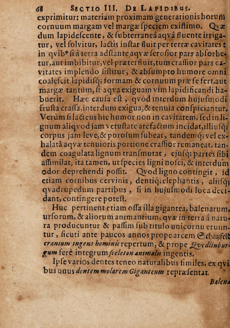 48 Sictio iit Di LAptDifctis. exprimitur* materiam proximam generationis horuiil cornuum margam ve! marga? fpeciem exiftimo* Qvx dum lapidefcente, &fubterraneaaqva fluente irriga¬ tur, velfolvitur, ladis inftar fluit per terra? cavitates i in qvib^fi a terra adftante.aqva?ferofior parsabforbe- tur,aut imbibitiir5vel praeterfluit,tum craffior pars ca¬ vitates implendo fifiitur, & abfumpto humore omni coalefcitjapidifqj formam & cornuum pra?fe fert,aut marga? tantum, fi aqva exiguam vim Japidificandi ha- buerit. Hac caufa eft , qvod interdum hujufmodi frufta crafladuterdum exigua,& tenuia confpieianttm Verum fi ladeus hic humor non in cavitatem,fedin li¬ gnum aiiqvod jam vetuftate arefactum incidatjijliufq, corpus jam leve,&poro(umfubeat, tandemq; vel ex* halataaqva? tenuioris portione cra/Tiorremaneat» tan¬ dem coagulatalignum tranfmutat, ejufq; partes fibi alTimilat, ita tamen, utfpecies ligni nofci,& interdum ddor deprehendi polfit, Qvod ligno contingit, id etiam cornibus cervinis, denticpelephantis , aliifq$ qvadrupedum partibus , fi in hujufmodi loca deci¬ dant, contingere potefh Huc pertinent etiam offa illagigantea, balenarum, tirforum, & aliorum animantium, qva?in terra a natu¬ ra producuntur & paffim fub titulo unicornu eruun¬ tur, ficuti ante paucos annos prope arcem ©cf^fdfc cranium ingens hominis repertum, & prope jgvedlinbur^ gum fere integrumfcekton animate ingentis* Ipfe varios dentes teneo naturalibus fimiles, ex qvi bus unus dentem molarem Giganteum rep radent at, * 5 Balena