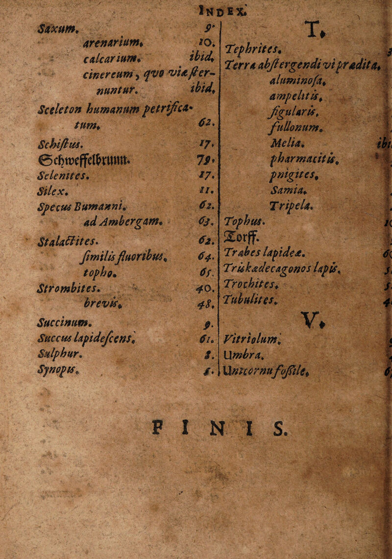 Saxum* p* arenarium* calcarium* tbid* cinereum i qvo vUfter- nuntur* ibidf Sceleto» humanum petrtjicu* sum* 02. Schifius. *7> 7S* Selenites* *7> Silex* n* Specus Bumanni* 02* ad Ambergam* < f. 0J\ St dadit es* 02* fmilisfluoribus\ 04» topho. 0f Strombites. 40. brevis* 48* Succinam* P: Succus hpidefcens* 0U Sulphur* i. Synopts* ■ T. Tephrites* Terra abflergendi vi aluminofa* ampehtis* JiguUris, fullonum* Melia* pharmacitis* pnigites* Samia* ophui. Trabes lapidea* Triskadecagonos lapis* Trotbites* Tubulis es* ' V. Vitriolum* Umbra* UmcQrnufofilci