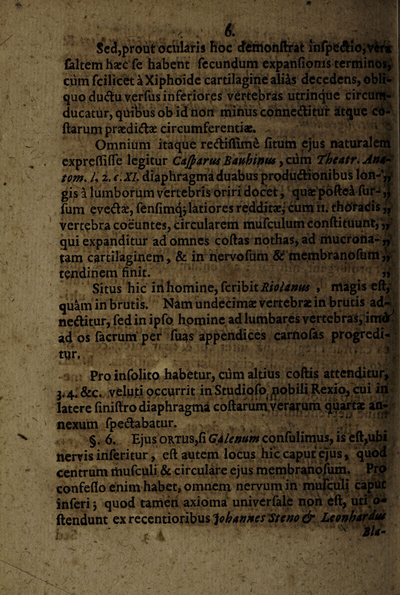 feltemhaec fe habent fecundum expanfioms tcfniitt(j|^ j cthn fcilicct a Xiphbidc cartilagine aliis decedens, | quo du<!iu v,erfus inferiores vertebras utrinejuc circuti^'^ ducatur, quibus ob id hort miniis cohnedituf itque ed* ftarum praediftx circumferentiae. v* Omnium itaqUe rediflime fitutn ejus naturale^ expreflifle legitur CajparusBauhiniuyQum Theatr. tom. L i r. XI) diaphragma duabus produdionibu^ a gis 5 lumborum vertebris oriri docet, qu^ pdftei fur-^ J fum evcdse, fenfimqj latiores redditae^ cum ii; thOfadis ^ vertebra coeuntes, circularem mufculum conftituunt,^,jf.\ qui expanditur ad omnes coftas nothas, ad mucrotta- 3rf\ tam cartilaginem, & in hervofum & membranofunt tendinem finit. ? Situs hic ihhomine, fcribiti?/V/^;?^ , magis eft,V quam in brutis. Nam undecima: vertebrae in brutis ad% nexum fpedabatur. , ^ ^ . §. 6. Ejus OKTUSjfi confulimus, is eft^ubi nervis iriferitur ^ eft autem locus hfc caput ejus, quod centrum iiiufculi & circulare ejus membrano^^ P|jJ conifeflo enim habet, omnem nervum in mi^culi cajpM inferi 3 quod tameri axioma univcrfale non eft, ftendunt ex rcccntioribusLconhiv^