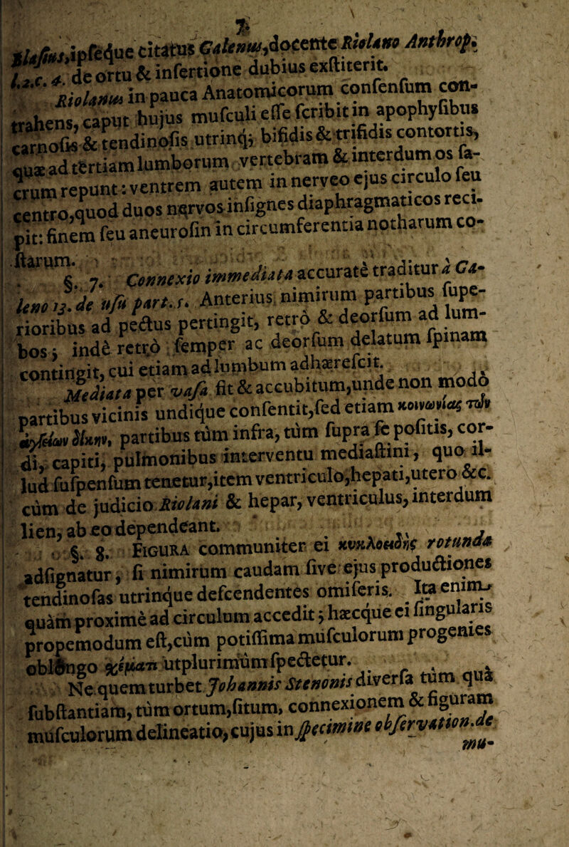 - % LiC 4 de ortu «iinfertlone dubius exftitcnt. ^ in pauca Anatomicorum confenfum cw- «ahem clput hSius mufculiefiTefcribUin apophyfibu» l^ofis’ & tendineis ,utrin4r bifidis &|rifidis contorti^ «U* ad tbrtiam lumborum vertebram & «ura repunt: ventrem autem m neryeo ejus circulo feu centro,quod duos nqrvosjnfigncs diaphragmaticos rcc - pit: finem feu aneurofm in circumferentia notharum co- 7. Connexio immeJiatA accurati tradhur i (74- Itm itde ufufArt. s, Anterius, nimmira pa^ibus Cape- tioribus ad pfeus pertingit, bos; indd retto fempcr ac deorfum delatum fpmam contingit, cui etiam ad i«|>)l>Miadhaereft Mediata per 'vafa fit & aceubitum,unde non modo partibus vicinis undique confentityfed etiam XfeimSkm, partibustiiminfra,tum fuprafcpofitis,cor¬ di, capiti, piilhionibus interventu me^altini, quo^il- lud fufpenfum tenctur,itcm ventricuro,bcpati,utero&c. ciim de judicio & hepar, ventriculus, interdum lien, ab eo dependeant . . /«. i Figura communiter ei *v«A9«d»< rotanaa adlienatur; fi nimirum caudam five ejus produftiones tendinofas utrinduedefccndentes quam proxime ad circulum acccdu 5 hseque ci propemodum eft,cdm potiffima miifculorum progenies fubOantiam, tum ortum,fitum, connexionem & figu mufculorumdeIincatio,cujusin^W»»^y^?:v<«''^^