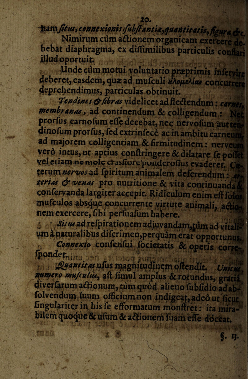 '■ 4. - ' ^^-iv - ^ *'. ' »»»txkms<fuhfiantUjqttmti^ Nimirum ciim a(fUoncm organicam we. bebat diaphragma, cx diflimilibus particulis iijudjoportuit; Undecummptiji'voIun,tariopraeprimi$ rhfet^ deberet, easdem, quae ad mufculi nAefu^itu coiKur^ deprehendimus, particulas obtinuit. . ' ^ adiges & fibras videli cet ad fleaendum: ta ^ membranas, zA continenduna & colligendum : prorfus earnpfumelTedecebat, ilec ncrvofumfut, dirrofum prorfus, fcd extrinfcc^ ac in atnbitu c^ne ad majorem colligentiam & firmitudinem : nervj ver6 intus,ut aptius cpnftringere &dilatare fept veliCtiam ne mole ^asCuf cpuadcroCus evaderet. tcrutn:»e^w/ad fpiriti^ ahiinalerii deferendumr . tertas& %>enas fw nutritionc & vita cmitinuan^ cpnfervanda largiter accepit. Ridiculum enim eif fi mufculos absdire,poncurrcnte .yirtutc animali, a *' nem exercere, fibiperruafumhafeere..i' ' ; ' ^/i«adrefpiratiooem adjuvand^pi,|um ad vitax»- Jjun ipaturalibus difcrimcn,perqu;im erat opportunni. . , ' Ccwcaf» confcfifua focietatis & operis cdr«^ .fcondef-;,,., j i ig^grntudm ^nfero mufcutusy ali fimul amplus & rotundus, ct<< diver%um asionum, tupt qudd alieno fublGdio ada^ folvenduuijfuum officiumnon ,indigeaf,aded ut.Vic^ fingulariter in his fe efformatum mPnftrct: ita ransp® mlem rtVirtf4ni*kp cKJc^t §• 9- ‘ T '■'•i') ' V ,