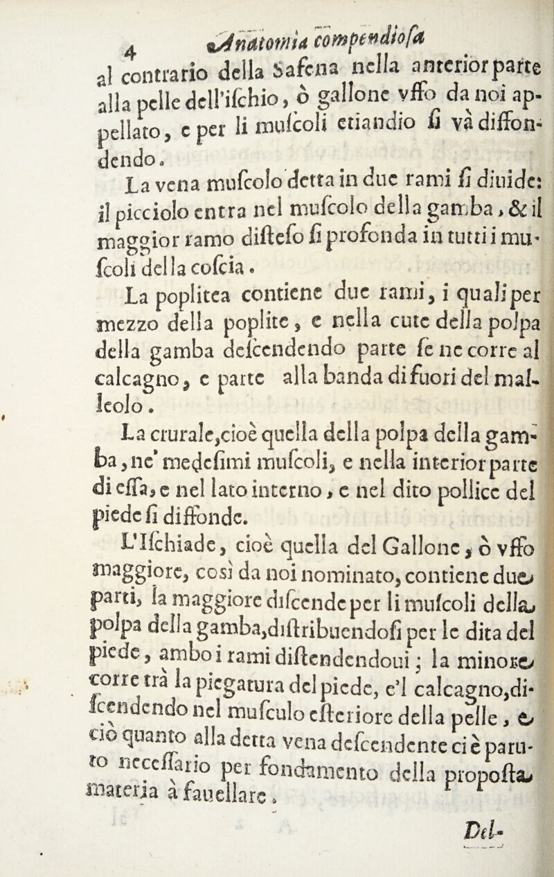 , tyétteuomìi cmMxàhfa al contrario della Safcna nella amerior patte alla nelle dell'ilchio, è gallone vffo da noi ap- pellato, c per li rowlcoli etiandio 1) va diffon- dendoa la vena mufcoìo detta in due rami fi diuide: il picciolo entra nel mufeoio della gamba, & il maggior ramo dirtelo fi profonda in tutti i mu* fcoli della colcia • La poplitea contiene due rami, i quali per mezzo della poplitc, e nella cute della polpa della gamba dciccndcndo parte (e ne corre al calcagno, e parte alla banda di fuori del mal¬ leolo . La crura!e,cioè quella della polpa della gam¬ ba 5 ne’ medefimi mulcoli, e nella interior parte «di elfa j e nel Iato interno * e nel dito pollice del piede fi diftbndc. L'Ilchiade, cioè quella del Gallone, ò vftb maggiore, così da noi nominato, contiene duo parti, la maggiore dilcendc per li mulcoli della» polpa della gamba,dirtribuendofi per le dita del piede, ambo i rami dirtendendoui ; la minoro corre tra la piegatura del piede, e’1 calcagnoli* tendendo nei mufculo citeriore della pelle, o ciò quanto alla detta vena defeendente ci è paro- fo L'fc f]:0 Pei fondamento della proporti materia a fan ella re, t r Dtlr*