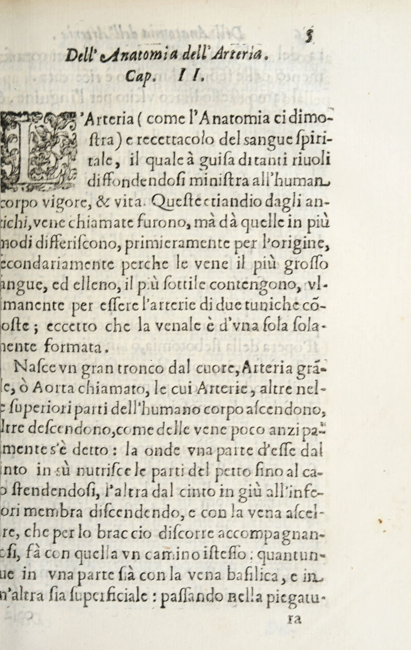 Dell' tonatomi a dell'Arteria, Cap, i l* 'Arteria ( come l’Anatomia ci dimo¬ ierà j e rcccttacoio del sangue fpiri- talc, il quale à guifa ditanti rìuoii diffondendefìminiftraalfhumarL» corpo vigore, & vita Queficaiandio dagli an¬ aci]/, vene chiamate furono, ma dà quelle in più nodi differifeono, primieramente per l'origine, ccondariamcntc perche le vene il più grò fio angue, ed cileno, il più fonile contengono, vi- mancntc per cffcrc l'artcrie di due tuniche co- ofte ; eccetto che la venale è d’vna fola fola* pente formata. Nafcevn gran tronco dal cuore. Arteria gra» le, o Aorta chiamato, le cui Arterie, altre nel- p fuperiori parti dell’humano corpo afeen dono, Jrre defee ndc no,ce me delle vene poco anzi pad mente se detto : la onde vna parte chefle dai nto in sù nutrifeele parti del petto fino al ca¬ li (fendendo fi, l’altra dal cinto in giù all’infc- ori membra difendendo, e con la vena afccl- re, che per lo braccio difeorre accompagnan¬ ti], fa ccn quella vn caminoiflefio ; quaruun- uè in vna parte fa con la vena bafilica, e iru n’altra fiafupcifcialc : paffando nella piegatu- y ra