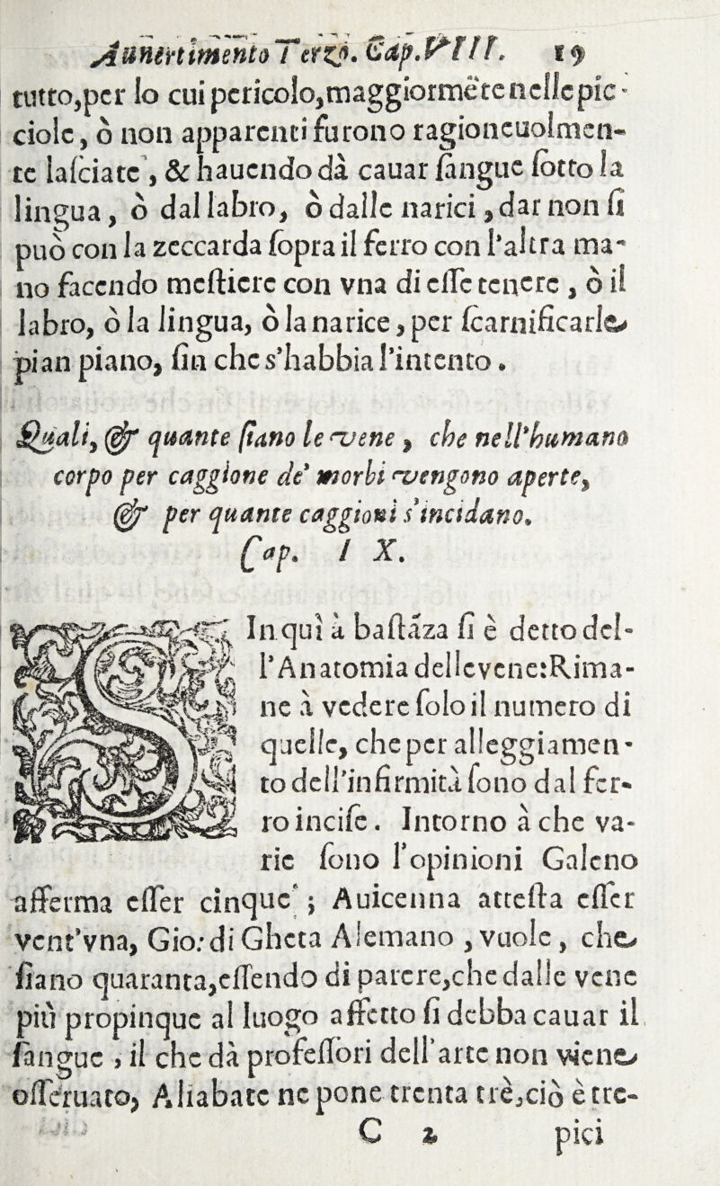 tutto,per lo cui pcricolo,maggiprine te nelle pie « ciolc, ò non apparenti furono ragioncuolmcn- te la/ciatc , & hauendo di cauar /àngue lòtto la lingua, ò dal labro, ò dalle narici, dar non fi può con la zeccarda /òpra il ferro con l’altra ma¬ no facendo mcfticrc con vna di elle tenere , ò il labro, ò la lingua, ò la narice, per /carnificarlo pian piano, /in ches’habbial’intento. Quali) (èfr Quante (tana le ruene, che neWhumana corpo per cagione de morbirvengono aperte% (gfr per Quante caggioui s incidano» [ap. °/ X. In qui à bafiàza fi è detto del¬ l’Anatomia dellcvcne:Rima- ne à vedere folcii numero di quelle, che per alleggiamene todcll'infirmitifono dal fer¬ ro inci/c. Intorno à che va¬ rie /ono l’opinioni Galeno afferma efler cinque' ; Auicetina attefta effer vent’vna, Gio:di Ghcta Alemano , vuole, cho Ira no quaranta,effendo di parere,che dalle vene più propinque al luogo affetto fi debba cauar il (angue , il che dà profeffori dell’arte non vicnG> offeruato, Aliabate ne pone trenta trecciò è tre- ' C £ pici