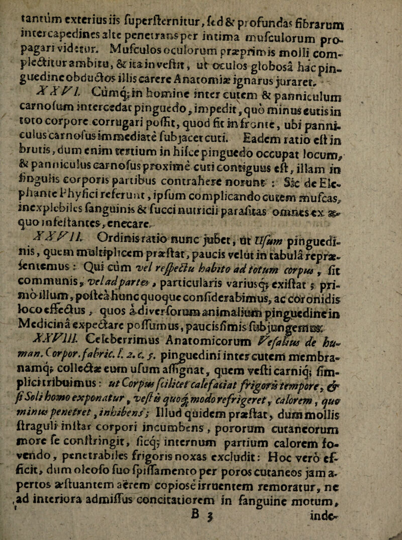 tantum exterius iis fupcrfternitur, ftd & profundas fibrarum intercapedines alte penetrans ptr intima mufculorum pro- pagan videtur. Mufculosoculorum prseprimis moJli com~ ple£titurambitu, &kainveftjt, uV oculos globosa haepin» guedincobdudos illis carere Anatomiss ignarus juraret, XX XI Cum^rn homine inter cutem & panniculum camo lum intercedacpinguedo^impedit^quominuseutisin toto corpore corrugari poffit, quod fit mfronte, ubi panni¬ culus camofus immediate fubjacetcuri. Eadem ratio clt jn brutis, dum enim senium in hifcepinguedo occupat locunv & panniculus carnofus proxime cuti contiguus cft, illam in finguhs corporis panibus contrahere norunt r Sic deElc» piiancc Phyfici referunt, ipfum complicando cutem mufeas, inexplebiles fanguinis & fucci nutricii parafitas omnesex & quo infeliantcs, enecare, XXXIL Ordinis ratio nunc jubet, ut Ufum pinguedi¬ nis , quem multiplicem prseftat, paucis vel ut in tabula re prae- leniemus : Qui cum vel rejpeltlu habito ad fotum corpus , fit communis 9 vel ad partes, particularis varius q*cxiftar * pri« moillum, poileahunc quoque co nfld er a bim us? ac coronidis lococffedus , quos &diveriorumanimalium pinguedinein Medicina expectarc poflimuis, p au c is fi m is fl^bjun gem o$; XXXlil Celeberrimus Anatomicorum Xefahus de hu- manr Corpor.fafrric. I 2, c. /. pingucdinfintercutcnl membra» namq^ coi ledas eum ufum aflTgnat , quem vefti carniq; fim- plici tribuimus: ut Corpus fcilicetcalefaciat frigoris tempore*, & fi Soli hamo exponatur % ve fi is qvo^ modo refrigeret, calorem, quo minus penetret ^inhibens; Illud quidem praefiat ? dum mollis firaguli inltar corpori incumbens, poronim cutaneorum more fe canflnngit, ficq* internum partium calorem fo¬ vendo, penetrabiles frigoris noxas excludit: Hoc vero ef¬ ficit, dum olcofo fuo {pjfiamenro per poros cutaneos jam a* penos jfcftuantem aerem copiose irruentem remoratur, nc ,ad interiora admiffus concitatiorem in fanguine motum,