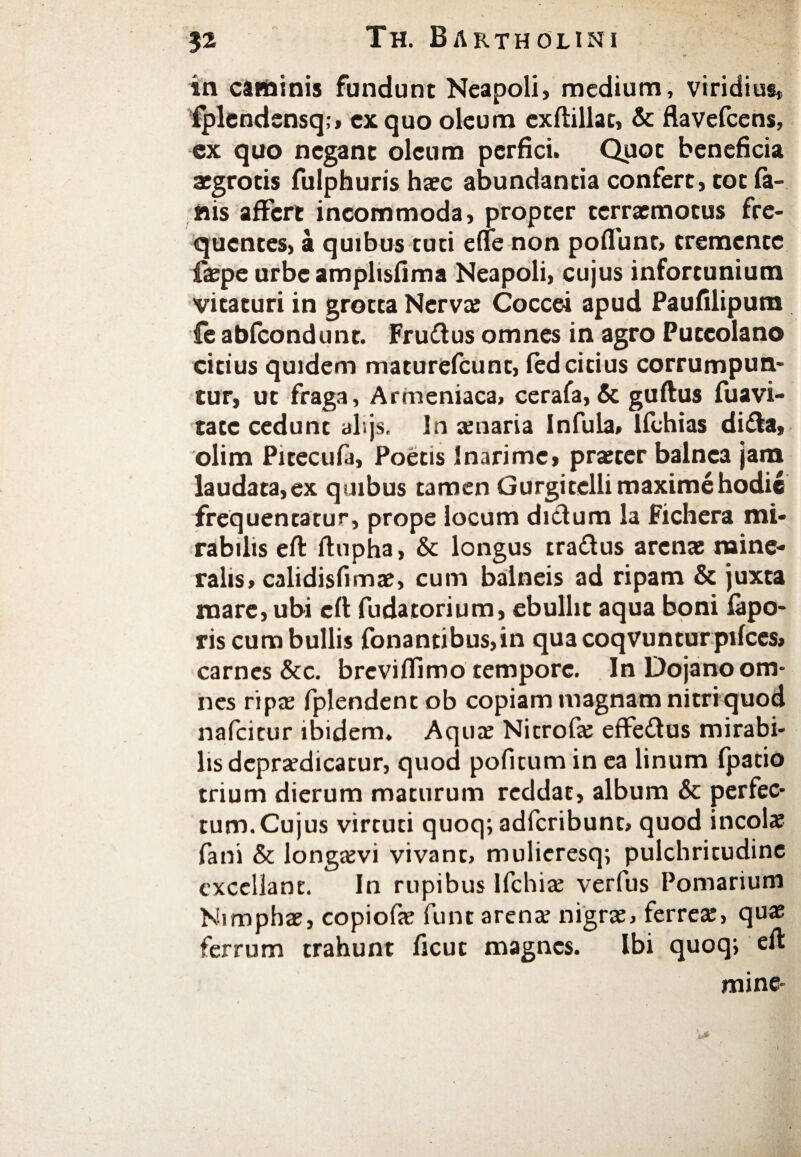 in caminis fundunt Neapoli, medium, viridius, iplendensq;» ex quo oleum exftillat, & flavefcens, ex quo negant oleum perfici. Quot beneficia aegrotis fulphuris haec abundantia confert, tot fa¬ nis affert incommoda, propter terraemotus fre¬ quentes, a quibus tuti efle non poliunt, tremente faepe urbeampltsfima Neapoli, cujus infortunium vitaturi in grotta Nerva: Coccei apud Paufilipum fe abfeondunt. Frudus omnes in agro Puteolano citius quidem maturefeunt, led citius corrumpun¬ tur, ut fraga, Armeniaca, cerafa, & guftus fuavi- tate cedunt alijs. In senaria Infula, lfchias dida, olim Pitecuia, Poetis Inarime, praeter balnea jam laudata, ex quibus tamen Gurgitelli maxime hodie frequentatur, prope locum didum la Fichera mi¬ rabilis eft ftupha, & longus tradus arenae mine¬ ralis, calidisfimae, cum balneis ad ripam & juxta mare, ubi eft fudacorium, ebullit aqua boni iapo- ris cum bullis fonantibus,in quacoqvunturpifces, carnes &c. brcvifllmo tempore. In Dojano om¬ nes ripa: fplendent ob copiam magnam nitri quod nafcicur ibidem. Aqua: Nicrofse effedus mirabi¬ lis deprxdicatur, quod poficum in ea linum fpatio trium dierum maturum reddat, album & perfec¬ tum. Cujus virtuti quoq; adferibunt, quod incola: fani & longaevi vivant, mulieresq; pulchritudine excellant. In rupibus Ifchia: verfus Pomarium Nimphae, copiofe funt arena: nigrae, ferrea:, quae ferrum trahunt ficut magnes. Ibi quoq; eft mine-