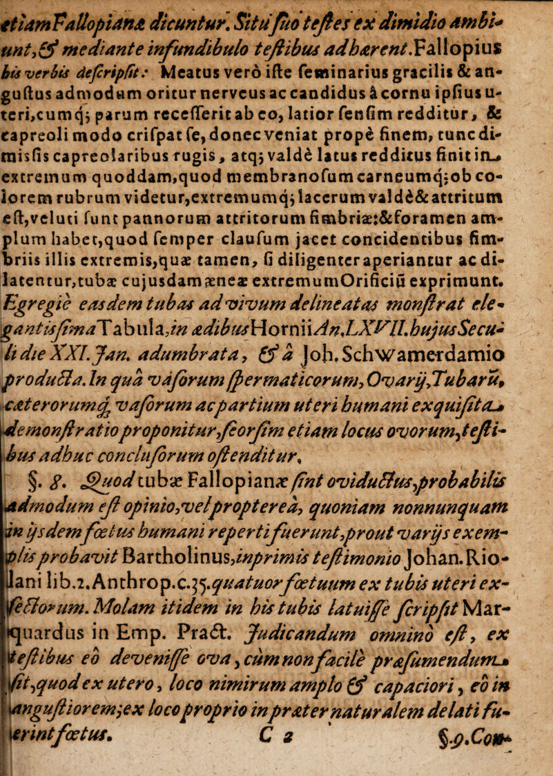 etiam Vallopiana dicuntur. Situfuo tejles ex dimidio ambio unt,&mediante infundibulo tefiibus adharent.Fallopius bis verbis dejcripfit: Meatus vero ille feminarius gracilis &an- guflus admodum oritur nerveus ac candidus & cornu ipfius u- teri>cumqj parum recederit ab eo, latior fenfim redditur, & capreoli modo crifpat fe, donec veniat prope finem, tuncdi- tnisfis capreolaribus rugis, atqjvalde latus redditus finitio^ extremum quoddam,quod membranofumcarneumqjob co¬ lorem rubrum videtur,extremumqjlaccrumvaldd&attritum eft,veluti funt pannorum attritorum fimbriae:&foramen am¬ plum habet,quod femper claufum jacet concidentibus fim¬ briis illis extremis,quae tamen, fi diligenter aperiantur ac di¬ latentur, tubae cujusdamaeneae extremumOrificiu exprimunt. Egregie e as de mtub at ad vivum de line at as monftrat ele- gantisfimaT ahnlijn adibusHornudn.LX^lI.hujusSecu- lidie XXl.Jan, adumbrata, & a Joh.Schwamerdamio pro duci a. In qua vdjorum (permaticorum, Ovarij.Tubaru, caterorumcjj vafirum ac partium uteri humani exquijiteu de rnonfl ratioproponiturfeorjim etiam locus ovorumfejli- bus adhuc conchiforum oflenditur, §. g. ffiodtubae Fallopiana?fntoviduPlus,probabilis admodum ejl opinio,vel propter e a-, quoniam nonnunquam in ysdemfastus humani reperti fuerunt,prout varijs exem¬ plisprobavit Bartholinus,inprimis teftimonio Johan. Rio- ilani X\\>.x.kx\'dnxo^.Q.7p).quatuorfoetuum ex tubis uteri ex- fePiorum. Molam itidem in his tubis latuiffe fcripfit Mar- Kjuardus in Emp. Pra<5t. Judicandum omnino e/l, ex Vedi bus eb deveniffe ova, cum nonfacile prajumendum-» \fit,quod ex utero, loco nimirum amplo & capaciori, eo in t awguftioremjex locoproprio inpr at er naturalem delati fu- isrintfoetus. C s ' §p.Con*