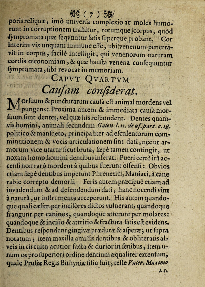 poris reliqui, imo univcria complexio ac moles humo- rum in corruptionem trahitur, totumque fcorpus, quod Symptomata qu£ feqvuntur fatis fuperque probant. Cor interim vix unquam immune elTe, ubuvenenum penetra¬ vit in corpus, facile inteiligit, qui venenorum naturam cordis oeconomiam , & qua? haufta venena confequuntur fymptornata,.fibi revocat in memoriam. Capvt Qvartvm Caufarn confiderat. X/ orfuum & pundurarum caufa eft animal mordens vel pungens: Proxima autem & immediata caufa mor- fuum funt dentes, vel qua? his refpondenr. Dentes quam¬ vis homini, animali fecundum Ga/en. i. //. deufpart. c> if* politico&manfueto, principaliter ad efculentorum cotn- minutionem & vocis articulationem fint dati, nec ut ar¬ morum vice utatur ficutbruta, faepe tamen contingit, uc noxam homo homini dentibus inferat. Pueri cert£ ira ac- cenfi non raro mordent a quibus fuerunt offenli: Obvios etiam fiepe dentibus impetunt Phrenetici, Maniaci, a cane rabie correpto demorfi. Feris autem praecipue etiam ad invadendum &ad defendendum dati, hanc nocendi vini a natura, ut inftrumenta acceperunt. His autem quando¬ que quali catfim per incilbres didos vulnerantj quandoque frangunt per caninos ? quandoque atteruntper molares: quandoque & incifio & attritio & fradura fatis efl evidens. Dentibus refpondenr gingivae praedura? & afpera? $ ut fupra notatum 3 item maxilla amiflis dentibus & obliteratis al¬ veis in circuitu acutior fada & durior in lenibus, item u- num os pro fuperiori ordine dentium aequaliter extenfum, quale Prufiae Regis Bithynia filio fuit, tefte Valer. Maxtmo /./«