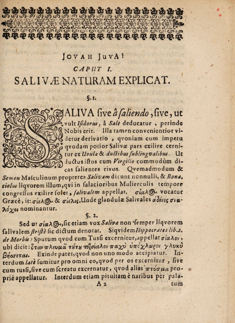 ]OVAH juvA! CAPUT I. SALIVAE NATURAM EXPLICAT. §.I. ALIVA fi ve a faliendo, fi ve, ut vultlfidortu, a Sale deducatur , perinde Nobis erit. Illa tamen convenientior vi¬ detur derivatio j qvoniatn cum impetu qvodam potior Salivae pars exiiire cerni¬ tur ex Uvula & dutlibm fublingvahbiu, llt du&usiftos cum Virgilio commodum di¬ cas falientes rivos. Qyemadmodum & Semen Malculinum propterea Salivam dicunt nonnulli, & Bona* ciolus liqvorem illum,qvi in falacioribus Mulierculis tempore congreilus exiiire folet , falivalem appellat, cidvocatur Grace, it: <n'eA@.& ffteAtj.Uode glandula Salivales dUwt atR- ?^6%ot nominantur. §• 2.* Sed ut <riceA@^fic etiam voxSalfr<e non ‘femper liqvorem falivalemftrifte fic diclum denotat. SiqvidemHippocrates lib.2* de Morbis / Sputum qvod cumTusfi excernitur, appellat alaAov, ubi dicit :cTc&v7rhsvi!iu txtx'roloicthov 7rct%u v7rc%hts>(?o\i yhvitu Mosstcu* Exinde patet,qvod non uno modo accipiatur. In¬ terdum late fumitur pro omni eo,qvod per os excernitur , live cum tu$(i,five cum (creatu excernatur, qvod aliasy?Jtr£4a Pfo* * prie appellatur. Interdum etiam pituitam e naribus per pala- A % tum