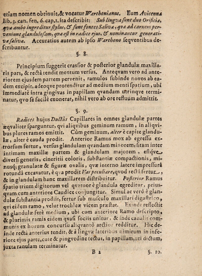 etiam nomen obtinuit,& vocatur IVarthcniantis. Eum Avicenns, .lib.j. can. fen. 6. cap.i. ita defcribit: Sublingvafiunt duo Orificia, qva ambo ingrediturfiy lus, & fiunt fontes Saliva i qva ad carnem pem veniuntglandulofiam, qvaeft in radice ejusy & nominantur generati- vafialiva. Accuratius autem ab ipfo IVarthono ferventibus dc- fcribuntur. §. 8- Principium fuggerit crasfior & pofterior glandulae maxilla¬ ris pars, & reda tendit mentum verfus. Anteqvam vero ad ante¬ riorem ejusdem partem pervenit, ramulos fubinde novos ab ea¬ dem excipit, adeoqve protenditur ad medium menti fpatium, ubi immediate intra gingivas in papillam qvandam iftrinqve termi¬ natur, qvo fe facile exonerat, nihil vero ab ore refluum admittit» §• 9* Radices hujus Dubius Capillares in omnes glandulae partes seqvaliterfparguntur, qvialiqvibus geminum ramum , inaliqvi- bus plures ramos emittit. Cum geminum, alter e capite glandu¬ lae, alter e cauda prodit. Anterior Ramus mox ab egreflli ex- trorfum fertur, verfus glandulam qvandam minorem, (Itam inter intimam maxillae partem & glandulam majorem , eflqve^ diverfl generis, cineritii coloris, fubftantiae compadionis, mi- nusq;granuiatae & figurae ovalis, qvaeinterno latere impreflura rotunda excavatur, e qva prodit Vas peculiare* qvod reda fmun_,, & in glandulamhanc maxillarem diftribuitur. Pofierior Ramus fpatio trium digitorum vel qva tuor e glandula egreditur, prius- qvam cum anteriore Caudice conjungitur. Simul ac vero e glan¬ dula fubftantia prodiit, fertur fub mufculo maxillari digaftrico* qvi eidem ramo , velut trochleae vicem praeftat. Exinde refledit ad glandula fere medium, ubi cum anteriore Ramo deferipto, & plurimis ramis eidem qvafi fociis unitur, & inde canalis com¬ munis ex horum concurfualiqvanco ardior redditur. Hicde- inde reda anterius tendit, & a lingvse lateribus nimirum in infe¬ riore ejus parte,cute & pingvedine tedus, in papillam,uti didum, iuxtaranulam terminatur.