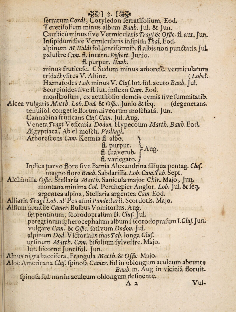 I . II V? *i3T?> J L ferratum Cor di, Cotyledon ferratifolium, Eod. Teretifolium minus album Bauh. Jul. St jun. Caufticu minus live Vermicularis Tvagi Si Offic. fl. aur. Jun» Infipidum fi ve Vermicularis infipida Thal, Eod. al pinum M Baldi fbl.Jenrifbrmib. fi.albis non pun&atis JuL paluftre Cam. fl. incarn. Ejftett. Junio» fl. purpur. Bauh. minus fruticefc. fi Sedum minus arborefe. vermiculatum trida&ylites V. Alline. (Lobel. Hsematodes Lob. minus V. Cluf lut. fol. acuto Bauh. jul. Scorpioides five fl. lut. inflexo Cam. Eod. monflrofumy exacutifolio demtis cymis live iiimmitatib» Alcea vulgaris Matth. Lob.Dod* St Offic. Junio St feq. (degenerans® ten uifol. congerie florum niveorum mofchata. Jun. Cannabina fruticans Cluf. Cam. Jul. Aug. Veneta Tragi Veficaria Dodon. Hypecoum Matth. Bauh. Eod. Aegyptiaca, Ab el mofch. Vesltngu Arborefcens Cam. Ketmia fl. albo. % h8' fl. variegato./ Indica parvo flore live Bamia Alexandrina filiqua pentag. Cluf. magno flore Bauh. SabdarifFa. Lob. Cam.Tab. Sept. montana minima Coi. Perchepier Anglor. Lob. Jul St feq® argentea alpina, Stellaria argentea Cam. Eod. Alliaria Tragi al' Pes afini Pandettarii. Scordotis. Majo. Allium faxatile Camer. Bulbus Vomitorius. Aug. ferpentmum, fcorodoprafum IL Cluf Jul» peregrinum fpherocephalum album £ fcorodoprafum I.Cfc/Jun, vulgare Cam. St Offic. fativum Dodon. JuL alpinum Dod. Vidforialis mas Tab. longa Cluf urfinum Matth. Cam. bifolium fylveftre. Majo, lut. bicome Juncifol. Jun. Alnus nigra baccifera, Frangula Matth. St Offic Majo. Aloe Americana Cluf fpinofa Camer. fol in oblongum aculeum abeunte Bauh. m. Aug in vicinia floruit, fpinofa fol nonin aculeum oblongum delinente. ' A % 'Vul. 'I '