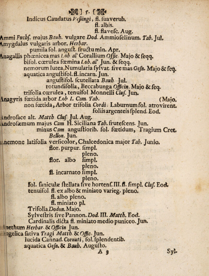 »Sf! f- f-3gf Indicus Caudatus Vefingi, fl. fiiaveruk fl. flavefc. Aug. hmmi Fuchf. majus Bauh, vulgare Dod, Ammiofelinum. Tab. JuL Amygdalus vulgaris arbor. Herbar. pumila foL anguft. frudu mln. Apr. frnagallis phoeniceamas Lob aT Corallium Offic Majo &feqq. bifoL coerulea fcemina Lob. aY Jun. 61 feqq. nemorum lutea5Numularia fylvat. live mas Gefn. Majo & fe& aquatica angultifol. fl. incarn. Jun. anguftifol. fcutellata Baub JuL rotundifolia, Beccabunga Officin. Majo & leq. trifolia coerulea, tenuifol Monnelli Cluf. Jun® inagyris foetida arbor Lob /. Catn. Tlaft. (Majo® non foetida. Arbor trifolia Cordi . Laburnum foL atrovirent. foliis argenteis fplend. Eod. indroface ait Mattb Cluf JuL Aug. lUidrofaemum majus Cam H. Siciliana Tab. frutefcens. Jun. minus Cam anguftiorib. foL foetidum, Tragiutn Gret* Bdlon. Jun. i nemons latifolia verficolor, Chalcedonica major Tab. Junio. flor, purpur. fimpL pleno® flor, albo fimpl. || !)leno® - impL II' , , pleno. ^ Fol. faniculae ftellata nve hortenf III. fl. fimpL Cluf Eod* tenuifol fl. ex albo & miniato varieg. pleno® fl. albo pleno, fl. miniato pL Trifolia Dodon. Majo. Sylveftrls five Pannon. Dod. III. Mattb. EocL Cardinalis di&a fl. miniato medio puniceo. Jun* i Itiethum Herbar & Officin Jun. • pfgelica fativa Tragi Mattb & Offic. Jun. lucida Cannad. Cornuti, fol. fplendentib® aquatica Gefn• & Baub• Augufto.