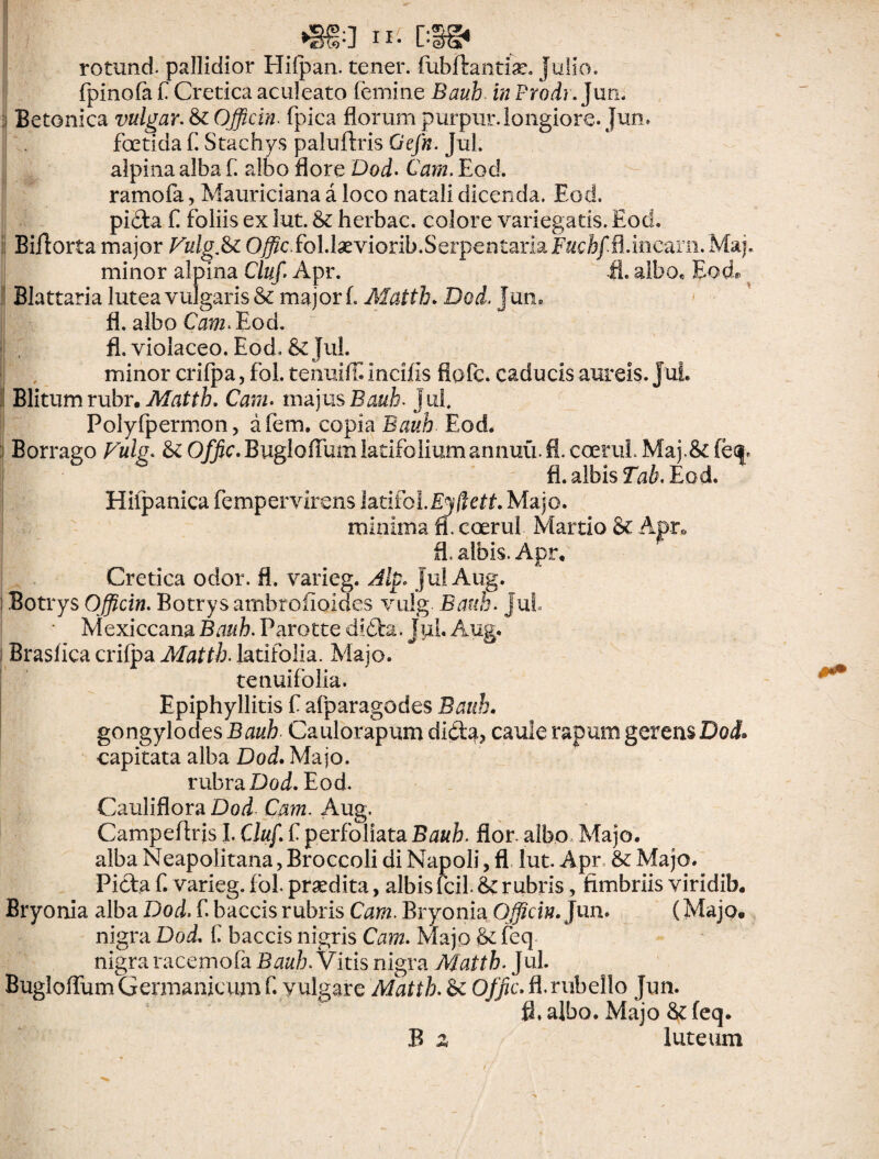 rotund. pallidior Hilpan. tener, fubftantise. jullo. ifpinofa fi Cretica aculeato (emine Bauh in Frodr. Juri. Betonica vulgar. & Officin. fpica florum purpur. longiore. Jun. fcetida f. Stachys paluftris Gefn. Jul. alpina alba f. albo flore Dod. Cara, Eod. ramofa, Mauriciana a loco natali dicenda. Eod. pi&a f foliis ex lut. & herbae, colore variegatis. Eod. Biiforta major Vulg.&t O^cfol.lseviorib.SerpentariaF^cfe/il.iiieam. Maj. minor alpina Cluf Apr. ii alboe Eod* Blattaria lutea vulgaris & major f. Matth. Dod. jun» !fl. albo Cam. Eod. fl. violaceo. Eod. & jul. minor crifpa, fol. tenuiffiincilis flofe. caducis aureis. Jul. I Blitum rubr. Matth. Cam. majus Bauh, jul. Polyfpermon, afem. copia Bauh. Eod. i Borrago Vulg. &: Offic.BuglofTumlatifoliumannuu.fl. coemi Maj.& feci- fl. albis Tab. Eod. Hiipanica fempervirens latifol. Efficit. Majo. minima fl. ccerul Martio & Apr* fl. albis. Apr, Cretica odor. fl. varieg. Alp. jul Aug. 1 Botrys Officin. Botrysambrofioides vulg Bauh, jul Mexiccana Bauh. Parotte diCm. Jul. Aug. i Brasfica crilpa Matth. latifolia. Majo. tenuifolia. Epiphyllitis f afparagodes Bauh. gongylodesBtf&Z? Caulorapum di£ta? caule rapum gerens Dod* capitata alba Dod. Majo. rubra Dod. Eod. Cauliflora Dod Cam. Aug. Campeftrjs I. Cluf‘f perfoliata Bauh. flor, albo Majo, alba Neapolitana, Broccoli di Napoli, fl lut. Apr & Majo. Picta f. varieg. fol praedita, albis fcil & rubris, fimbriis viridib. Bryonia alba Dod. f. baccis rubris Cte. Bryonia Officin. Jun. (Majo* nigra Dod. f baccis nigris Cam. Majo &efeq nigra racemofa Bauh. Vitis nigra Matth. Jul. Bugloflum Germanicum f. vulgare Matth. Offic. fl. rubello Jun. fl. albo. Majo & feq. B z luteum