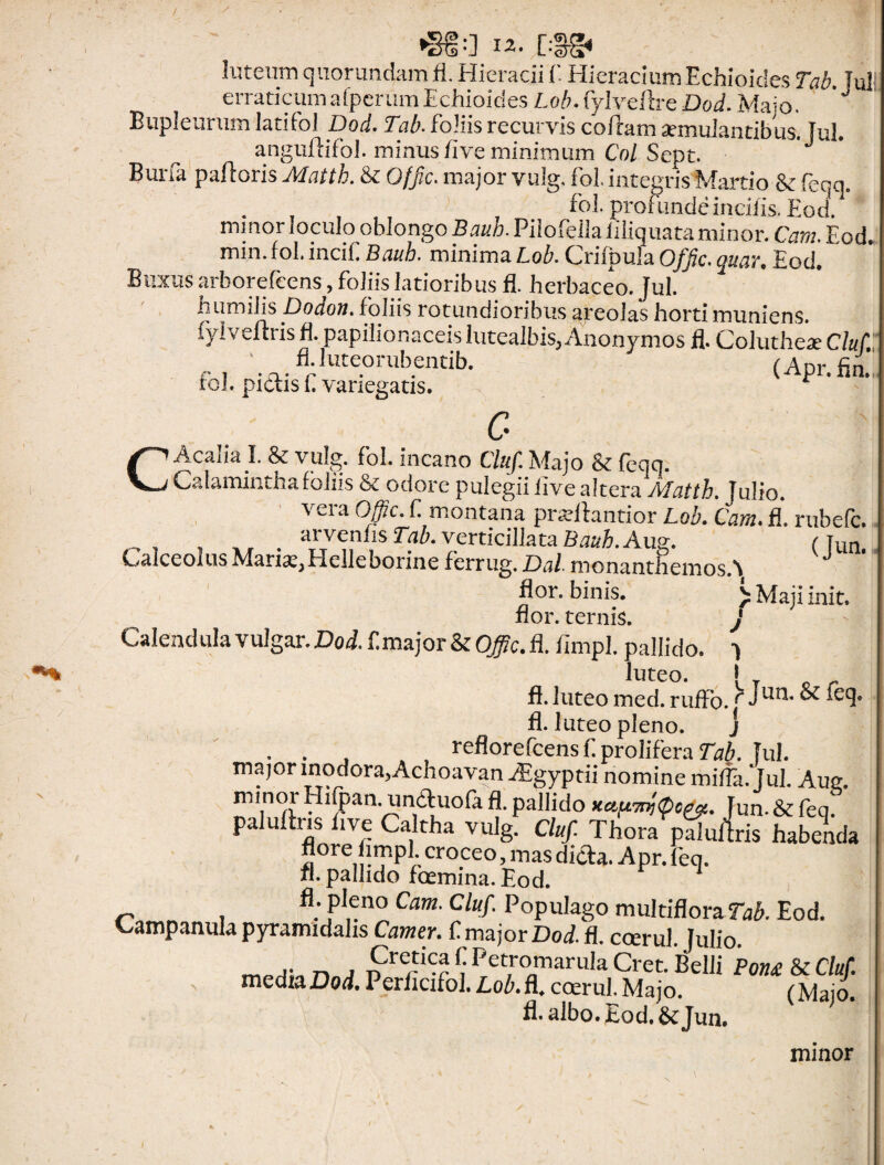 luteum quorundamfl. Hieracii f. HieraciumEchioides Tab. Iui erraticumalperum Echioides Lob. fylyeftre Dod. Majo. *J Bupleurumlatifol Dod. Tab. foliis recurvis coftam aemulantibus. Tui. anguftifol. minus five minimum Coi Sept. Buna palloris Mattb. & Gffic. major vulg, fol. integris Martio & feqq. . _ lf _ fol. profunde incilis. Eod. minor loculo oblongo Bauh. Piiofella liliquata minor. Cara. Eod. min. fol. incif Bciuh. minima Lob. Grifpula Ofjfc. quav, Eod. Buxus arborefcens, foliis latioribus fl. herbaceo. Jul. humilis Dodon. foliis rotundioribus areolas horti muniens, fylveftris fl. papilionaceis lutealbis, Anonymos fl. Colutheae CluL fl.luteorubentib. (Anr fol. pictis f variegatis. ^ ’ c CAcalia I. & vulg. fol. incano Cluf. Majo & feqq. Calaminthafoliis & odore pulegii live altera Matth. Julio. vera Offic. f montana prafllantior Lob. Cara. fl. rtibefc. . arvcn‘ls Tab. ver titillata bauh.Aw. (w Calceolus Mariae, Elelleborine ferrug. 1)<\l monanthemosA flor, binis. > Maji init, flor, ternis. j Calendula vulgar. Dod. f. major fimpl. pallido, q luteo. > „ . fl. luteo med. ruflo. .r Jun-®^5eq. fl. luteo pleno. j ... . reflorefeens f. prolifera Tab. Tui. major inodora,Achoavan Aigyptii nomine mifla.*Jul. Aug. m.nor Hifoan. unduofa fl. pallido Jun.&cfeq. paluftris flve Caltha vulg. Cluf. Thora palultris habenda flore hmpl croceo,masdida. Apr.feq. fl. pallido fcemina. Eod. fl. pleno Cam. Cluf. Populago multiflora?^. Eod. Campanula pyramidalis Camer. f major Dod. fl. ccerul. Julio. j; n . Cretica f Petromarula Cret. Belli Pont & Cluf. media Dod. Perhcifol.Lo/>.fl. ccerul. Majo. fMaio fl. albo. Eod. &Jun. *