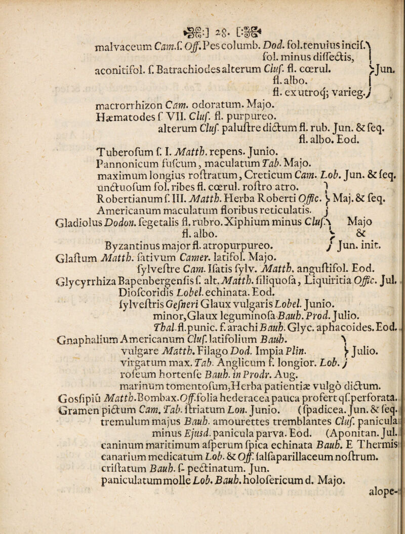 __ j»] -8* DS malvaceum Camf. Ojf.Pescolumb. Doel fol.tenuius incifA fol. minus diffedtis, i aconitifol. f. Batrachiodes alterum Cluf. fl. ccerul. >Jun. fi albo. ^ ^ | fl. ex utro q; varieg.y niacrorrhizon Cam. odoratum. Majo. Hsematodes f VII. Cluf. fl. purpureo. alterum Cluf. paluftre dictum fl. rub. Jun. & feq. fl. albo. Eod. Tuberofum f. I. Matth. repens. Junio. Pannonicum filicum, maculatumTab.Majo, maximum longius roftratum, Creticum Cam. Lob. Jun. & feq. undtuofum fol. ribes fl. ccerul. roftro atro. *) Robertianumf III. Matth. Elerba Roberti OJfic. Maj. & feq. Americanum maculatum floribus reticulatis, j Gladiolus Dodon. fegetalis fl. rubro. Xiphium minus Cluf.\ Majo fl. albo. ^ & Byzantinus major fl. atropurpureo. J Jun. init. Glaftum Matth. fativum Camer. latifol. Majo. fylveftre Cam. Ifatis fylv. Matth. anguftifol. Eod. GlycyrrhizaBapenbergenflsf alt.JV/^tt/;.filiquofa3 Liquiritia OJfic. JuL Diofcoridis Lobel. echinata. Eod. fylveflris Gefneri Glaux vulgaris Lobel Junio. minor,Glaux leguminofa Bauh. Prod. Julio. Thal.fi. punic. f.arachi Btftf&.Glyc. aphacoides.Eod. Gnaphalium Americanum Cluf. latifolium Bauh. ^ vulgare Matth. Filago Dod. Impia Plln. } Julio. virgatum max. Tab. Anglicum f. longior. Lob. j rofeum hortenfe Bauh. inProdr. Aug. marinum tomentofum,Herba patientia vulgo didtum. Gosfipiu M^tt&.Bombax.O#flbliahederaceapaucaprofertqfperforata. f\i' /Q- tnrv* ^ '•T n It -f T rwi TnnU / mo/liron Tnn IPrt Gramen pidtum Cam. Tab. ftriatum Lon. Junio. (fpadicea. Jun. & feq. tremulum majus Bauh. amourettes tremblantes Cluf. panicula: minus Ejusd. panicula parva. Eod. (Aponitan. Jul. caninum maritimum afperumfpica echinata Bauh. E Thermis1 canarium medicatum Lob. & Off. lalfaparillaceum noftrum. criltatum Bauh. f- peftinatum. Jun. paniculatum molle Lob. Bauh. holofericum d. Majo. alope-: