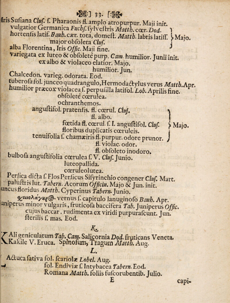 33- * Iris Sufiana Cluf. f Pharaonis fi. amplo atropurpur. Maji init vulgatior Germanica Fuchf. fylveftris Matth. ccer. Dod. ’ 1 hortenhs latif. Bauh. cser. tota, domeft. Matth. labris latifE L Majo major obfoleta Cluf. f alba Florentina, Iris Offic. Maii fine. } variegata ex luteo & obfoletepurp. Cam. humilior. Junii init, ex albo & violaceo elatior. Majo. . . . humilior, jun. Chalcedon, varieg. odorata. Eod. tuberola fol. junceo c]uadrangulo,Hermoda&yIus verus Matth.Av>t. humilior praecox-violacea f. perpuiilla latifol. Lob. Aprilis fine. 1 obfol e te ccerulea. ochranthemos. anguftifol. pratenfis. fl. coerul. Cluf. % fl. albo. I foetida fl. coerul. fI. anguftifol. Cluf. £ Majo, floribus duplicatis coeruleis. i tenuifolia £ chamaeiris fl. purpur. odore prunor. J fl. violae, odor. , ,, r fl.obfoletoinodoro, bulboia anguftifolia coerulea f V. Cluf Junio. luteopallida. I . cceruleolutea. 1 er/ica didla f FlosPerflcus Sifyrinchio congener Cluf. Mart. paluimslut. Tabem. Acorum Officin. Majo & Jun. init, uncus floridus Matth. Cyperinus Tabem» Junio. . ©* vernus f. capitulo lanuginofo Bauh. Apr. umperus minor vulgaris, fruticofa baccifera Tab. Juniperus Offic. cujus baccar. rudimenta ex viridi purpurafeunt. Tun^ Ireriiis f. mas. Eod. ^ ^^ geniculatum Tab. Cam. Salicornia Dod. fruticans Veneta .Vivakile V. Eruca, opmofumy Tragum Matth. Aug. L. Aduca fativa fol. fcariol* Lobel. Aug. fol. Endiviae f Intybacea Tabern. Eod. Romana Matth. foliis fufeorubentib. Julio. capi-